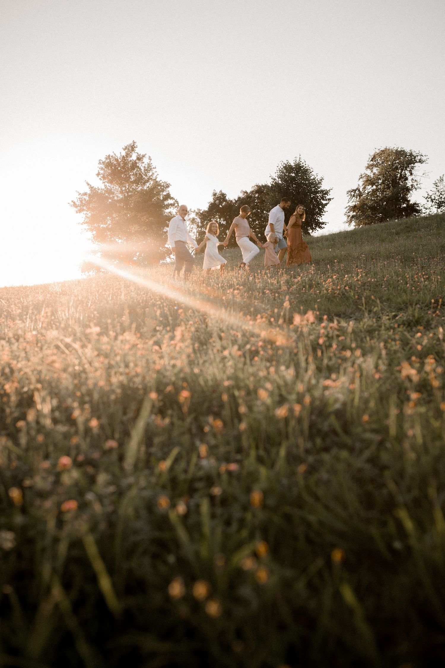 Silhouettes of people walking along a hilltop at golden hour with wildflowers in foreground.