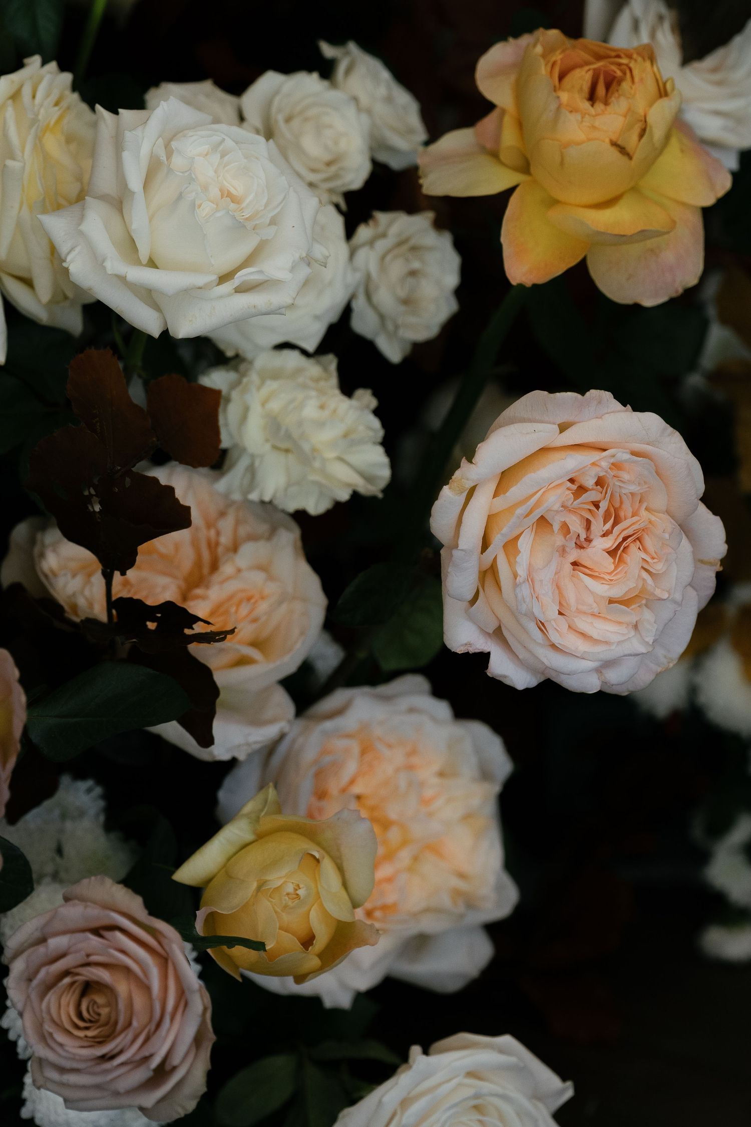 Lush arrangement of cream, peach and yellow garden roses in moody lighting at Villa Honegg Bürgenstock.