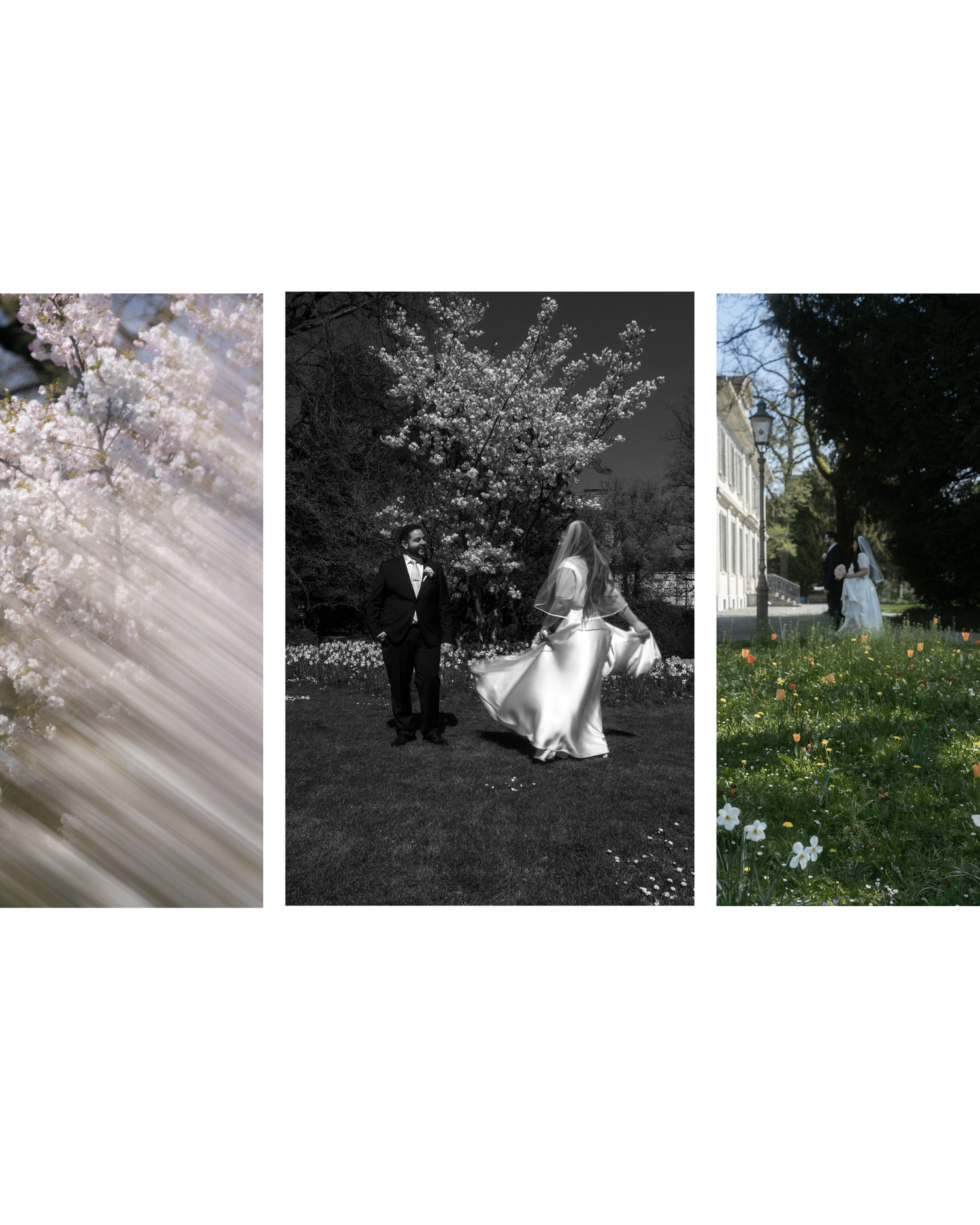 A wedding triptych featuring cherry blossoms, a couple dancing in black and white, and a bride in a garden.