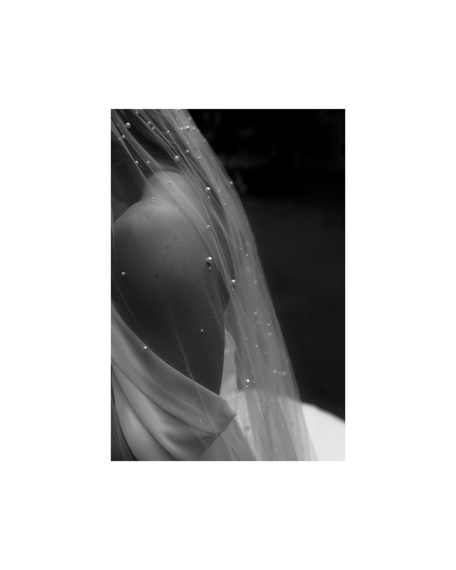 Black and white close-up of delicate flower petals with soft lighting and dramatic shadows creating an ethereal effect. Swiss Wedding Luzern