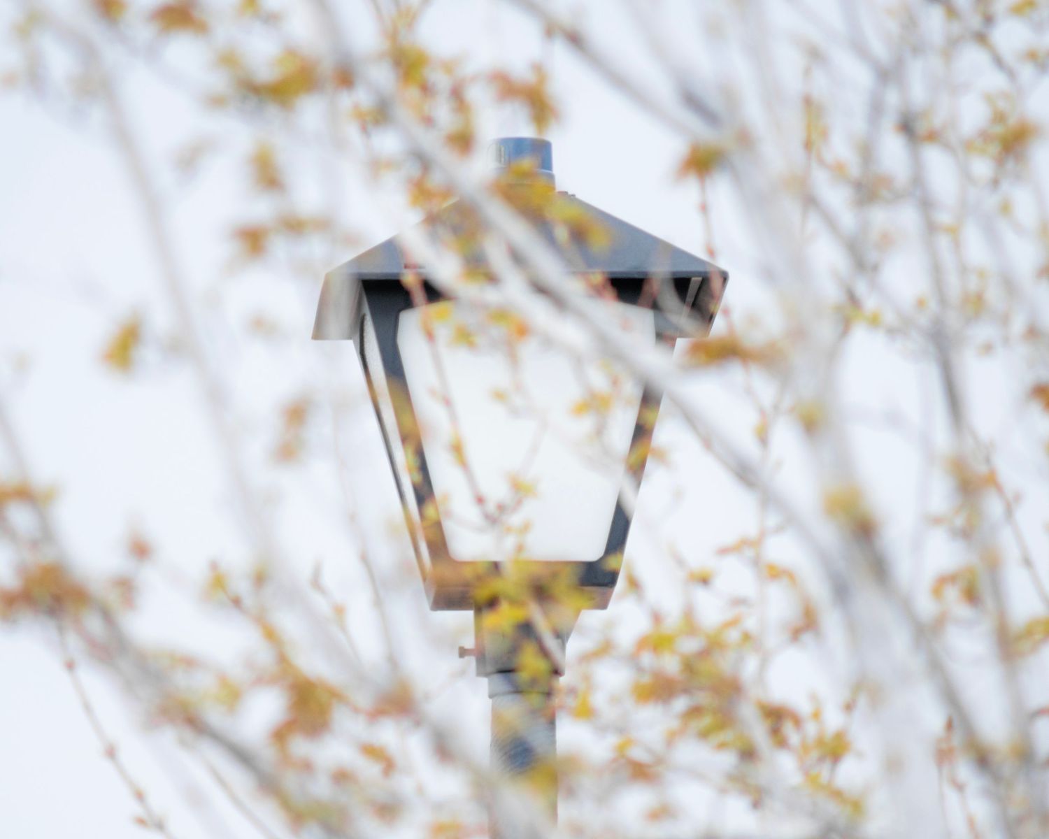 A vintage street lamp post surrounded by blurred autumn tree branches against a pale winter sky.