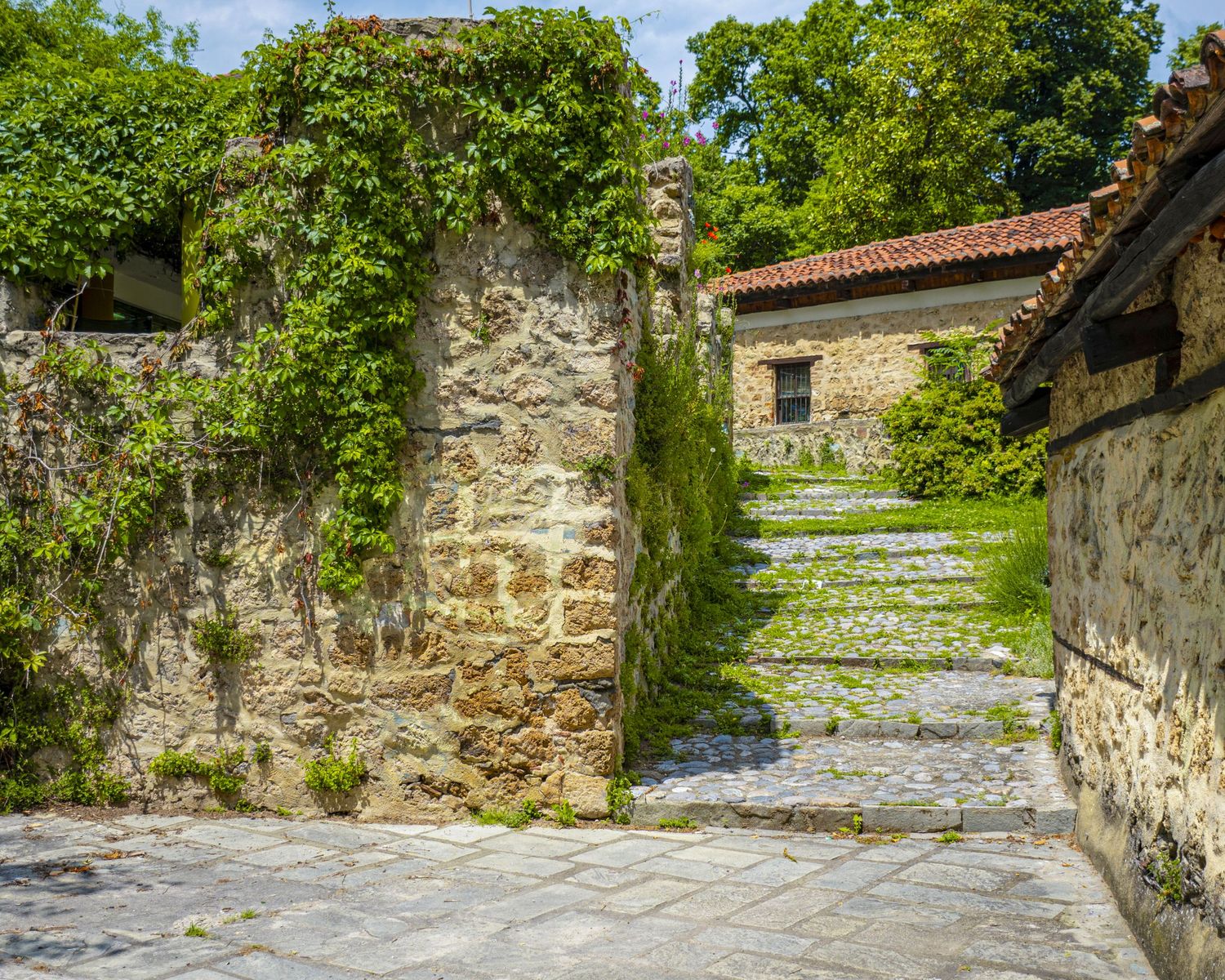 Charming stone pathway leads through ivy-covered walls to cobblestone steps in a picturesque village setting.