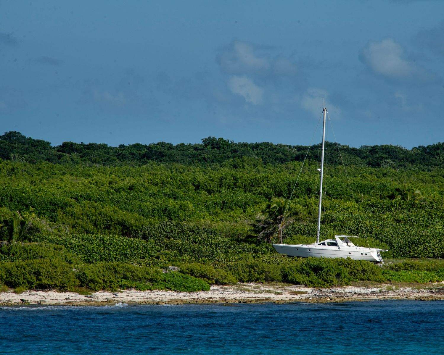 White sailboat anchored near a lush tropical island shoreline with turquoise Caribbean waters under a blue sky.