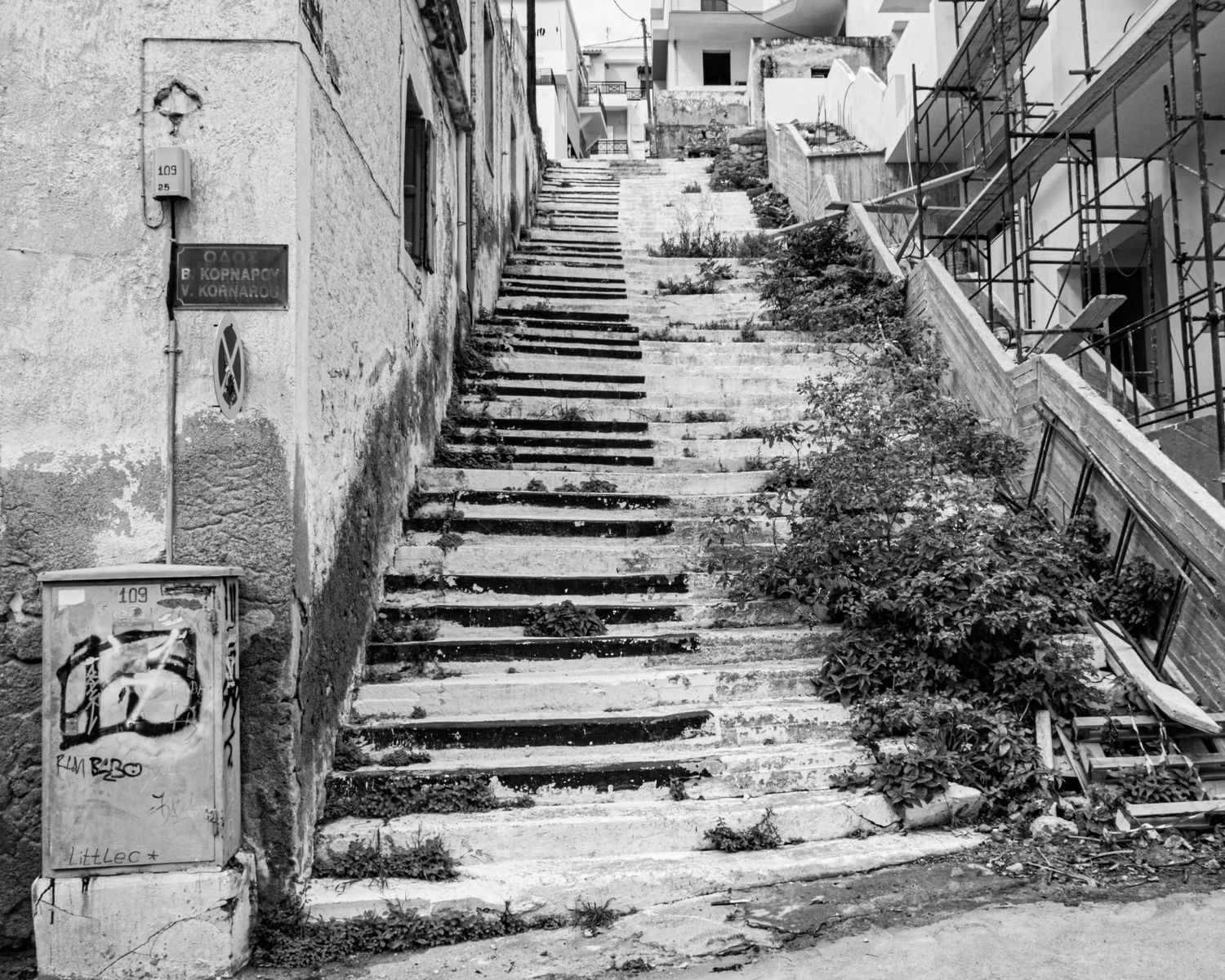 Black and white photo of weathered outdoor stone staircase with overgrown weeds between steps in an urban neighborhood.