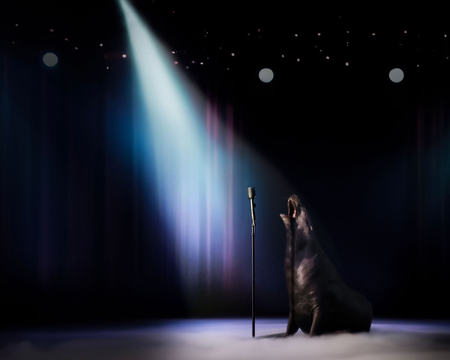 A sea lion performs on a dark stage under a spotlight beside a microphone stand.