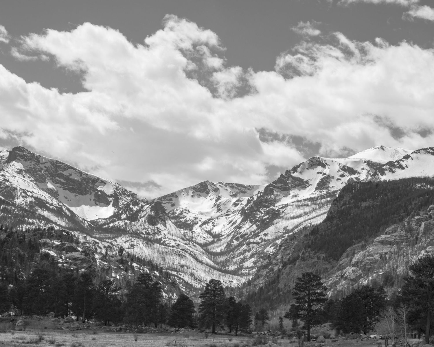 Black and white mountain landscape with snow-capped peaks, pine trees, and dramatic clouds in a scenic wilderness setting.