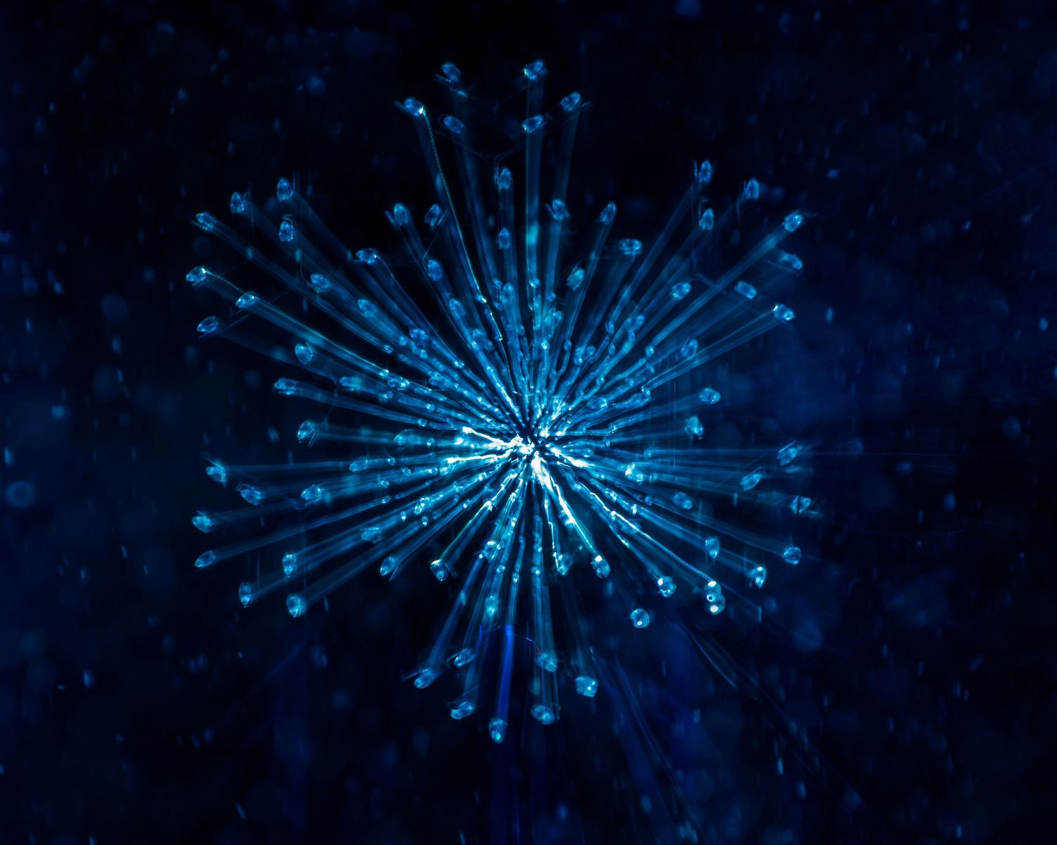 Glowing blue firework burst with radiant light rays on dark background, creating a stunning starburst pattern.