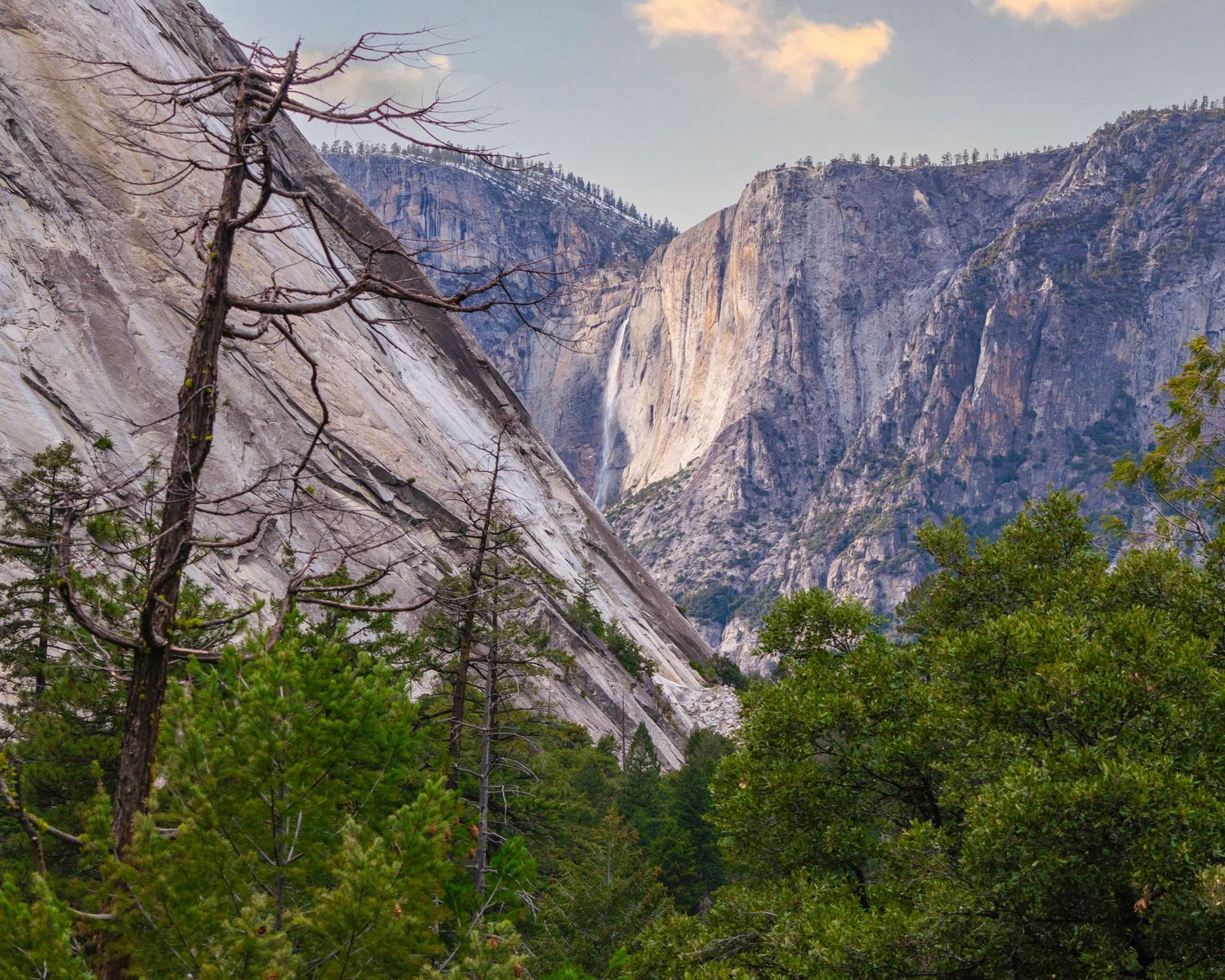 Yosemite Valley waterfall cascading down granite cliffs surrounded by lush green trees and dead branches in foreground.