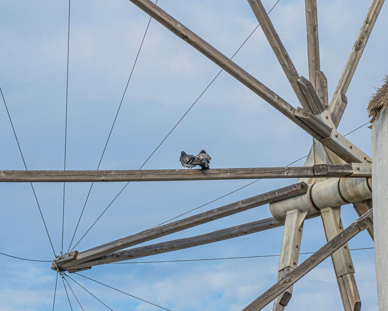 Two pigeons perched on the wooden frame of a traditional windmill against a blue sky.