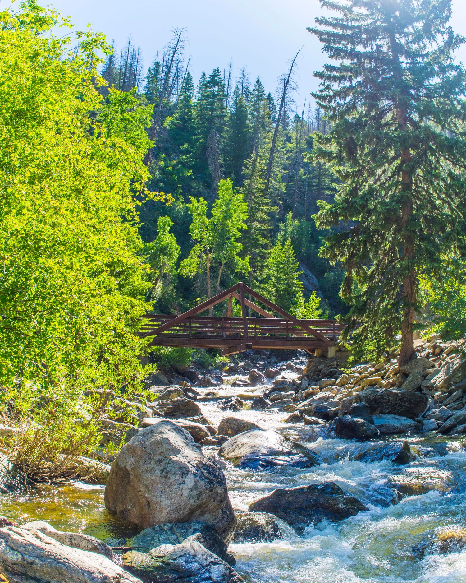 Rocky mountain stream flows under a rustic wooden bridge surrounded by lush green pine trees on a sunny day.