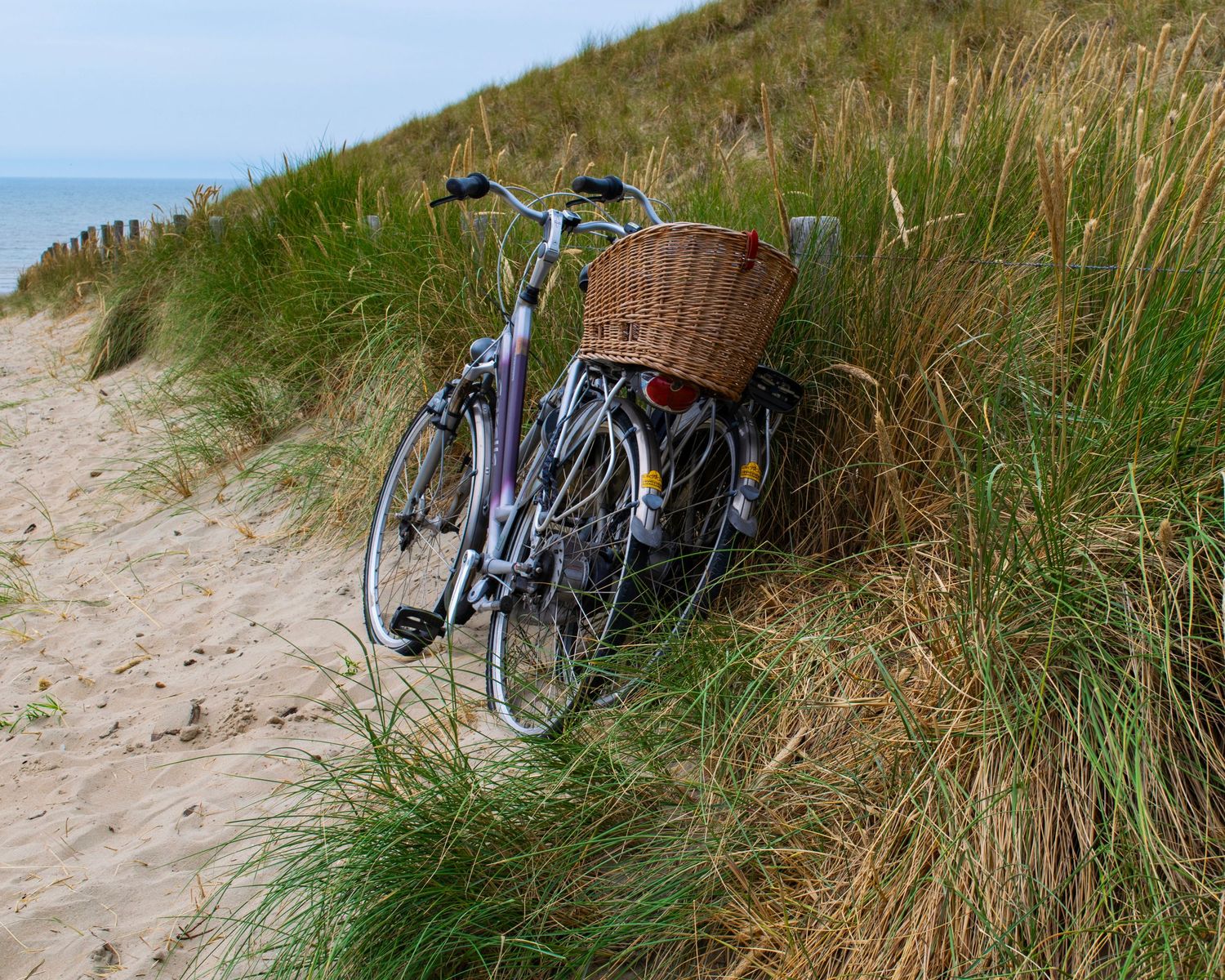 Two bicycles with a wicker basket leaning against grassy sand dunes near a beach on a cloudy day.
