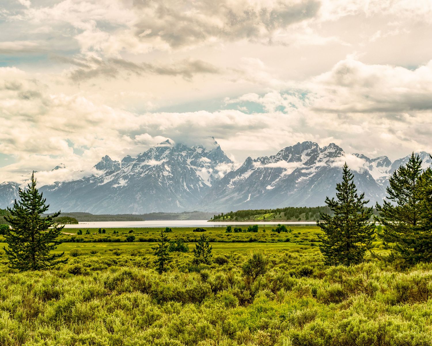 Snow-capped Grand Teton mountains rise behind lush green meadows and pine trees under dramatic cloudy skies.