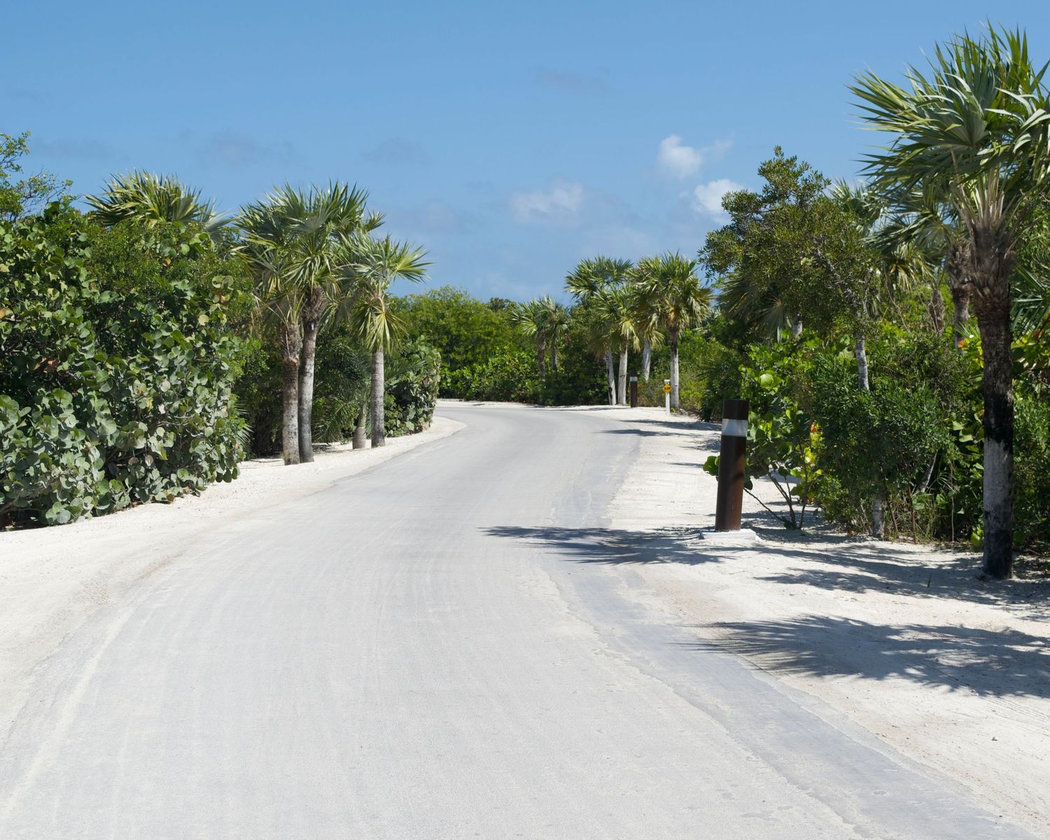 Sandy tropical road lined with palm trees and lush greenery under a bright blue sky.