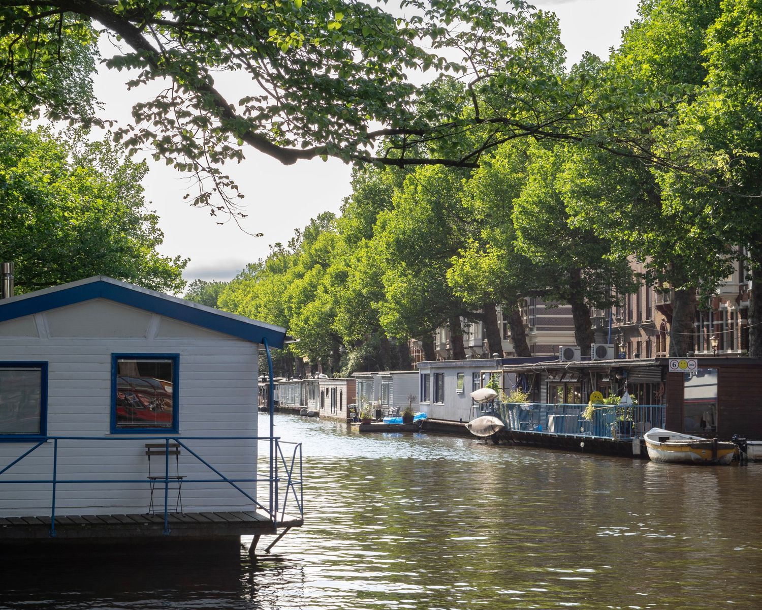 Houseboats moored along a tranquil Amsterdam canal lined with lush green trees on a sunny day.