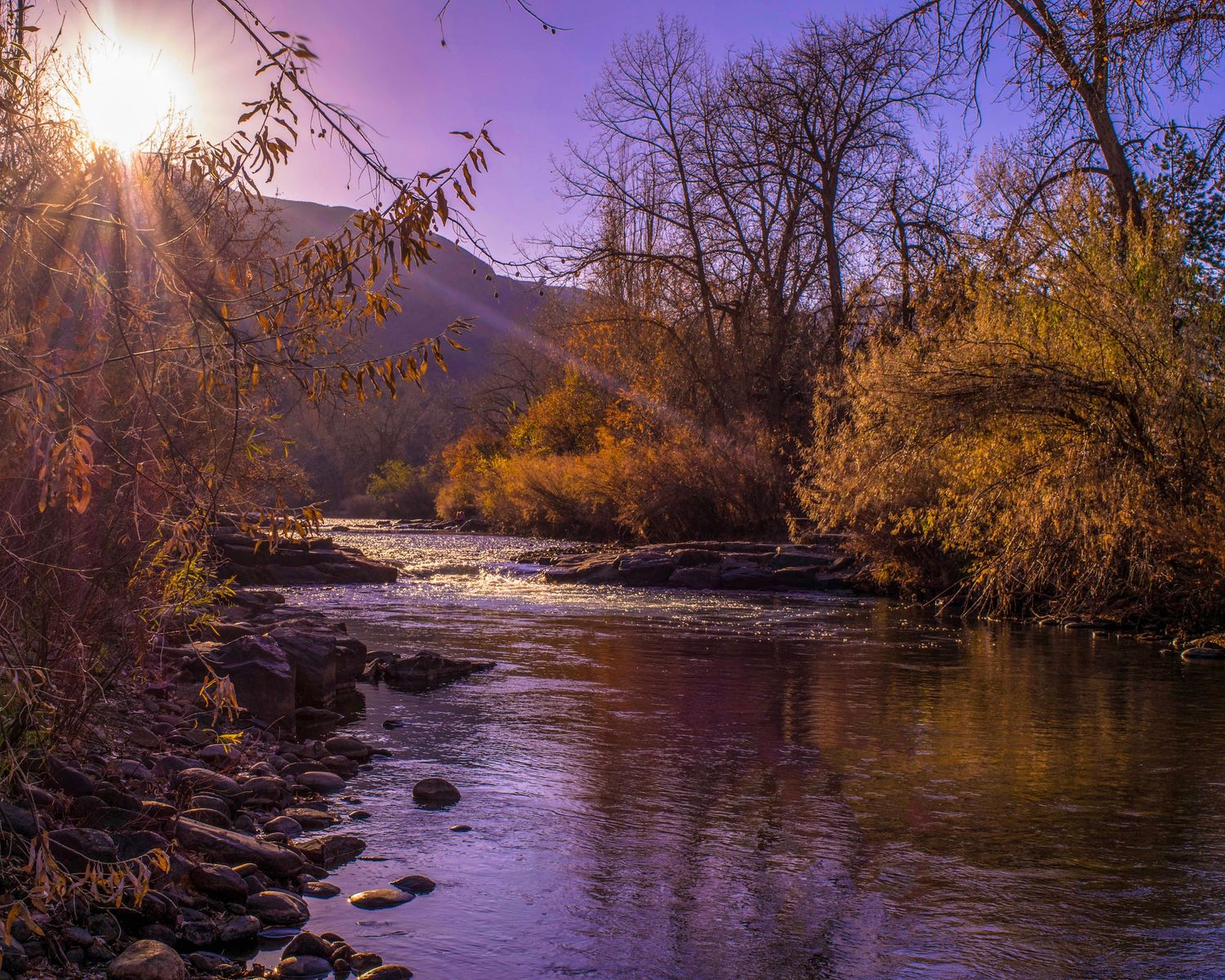Autumn river landscape at sunset with golden trees, rocky shores, and purple sky in a serene mountain valley.
