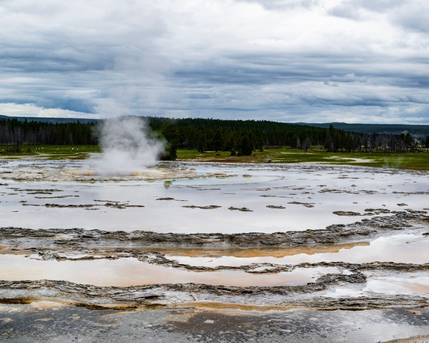 Steam rises from a colorful geothermal hot spring pool at Yellowstone National Park with forested hills in the background.