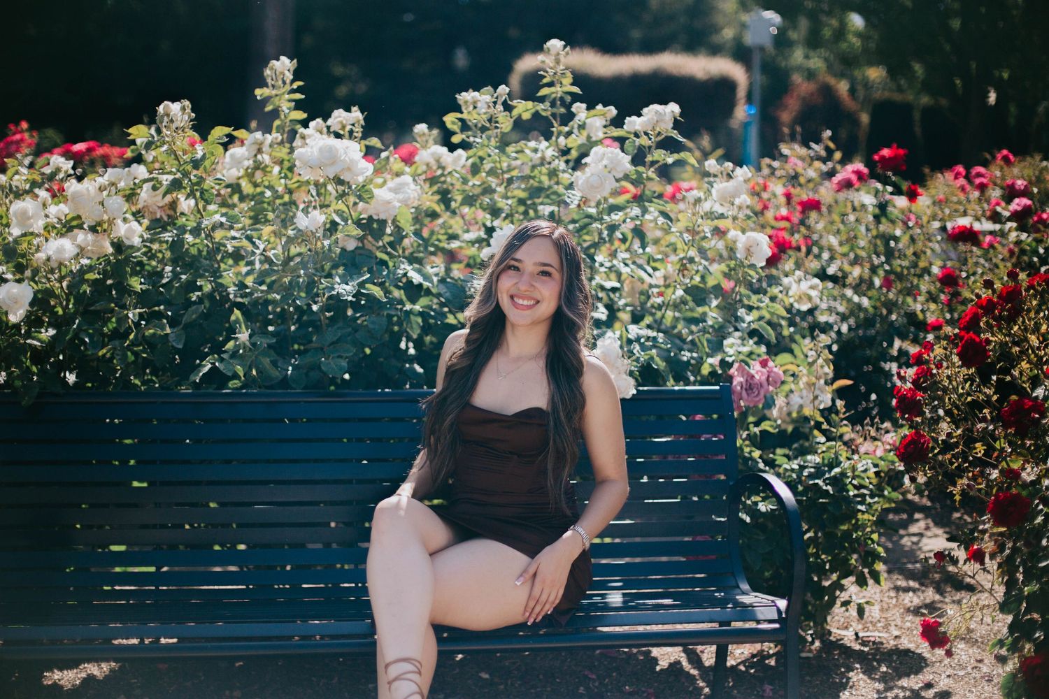 A woman sits on a blue bench surrounded by blooming red and white roses in a lush garden setting.