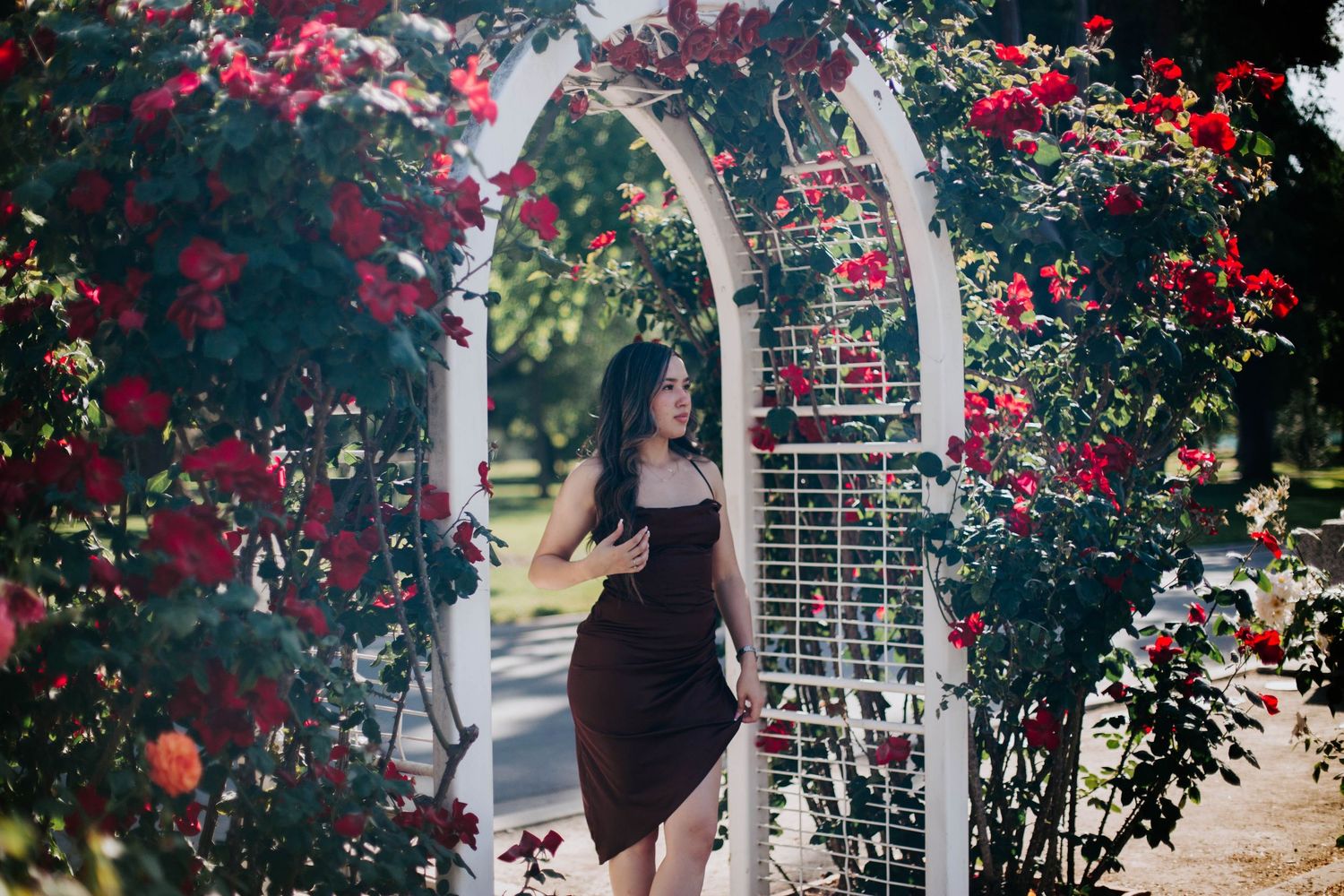 A white garden arbor covered in blooming red roses creates a romantic archway in a lush garden setting.
