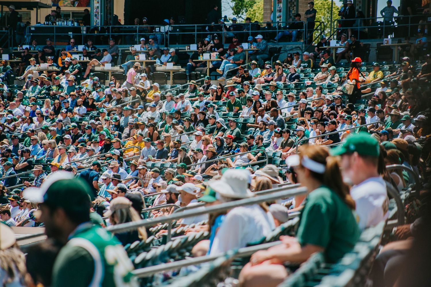 Baseball fans fill crowded stadium stands wearing green team colors during a sunny afternoon game.