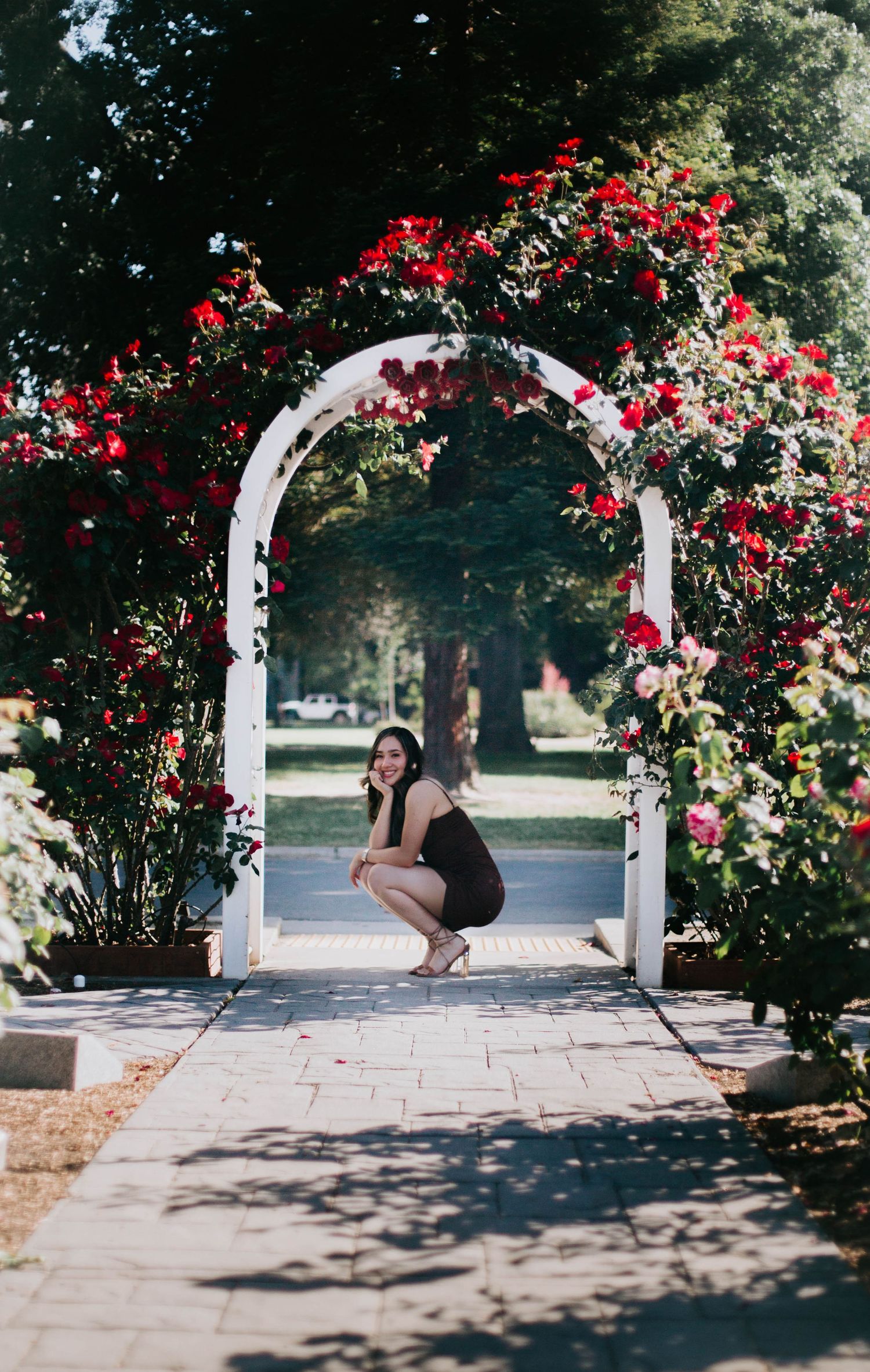 Blooming red roses adorn a white garden arch in a sunlit park pathway.