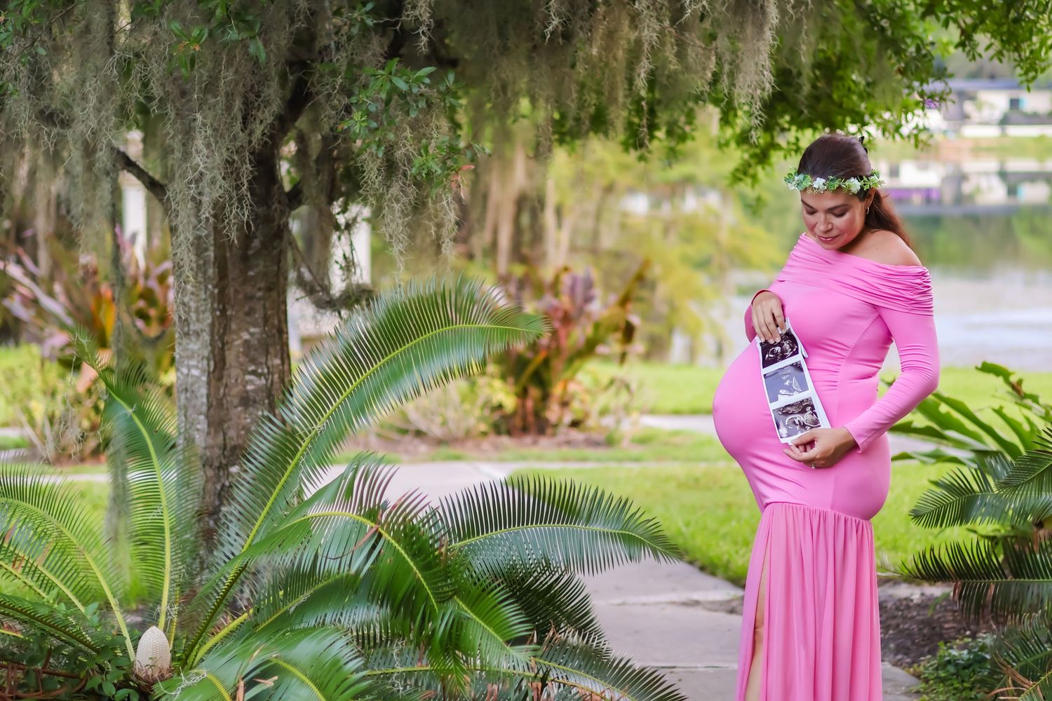 maternity orlando florida photographer