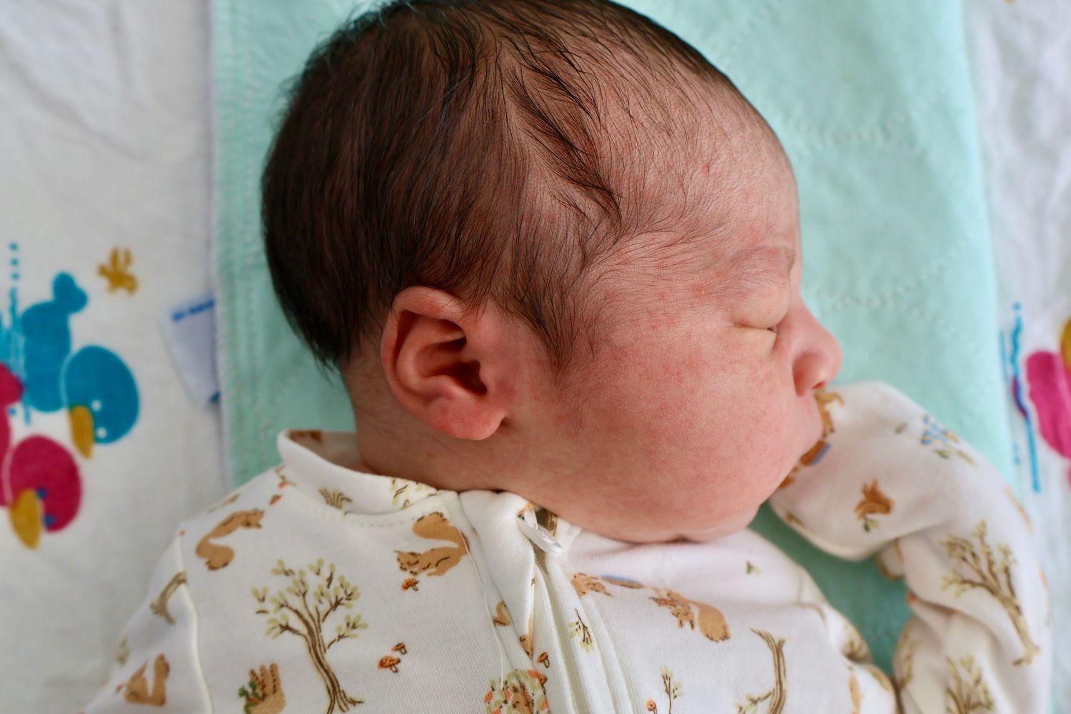 profile newborn orlando photographer