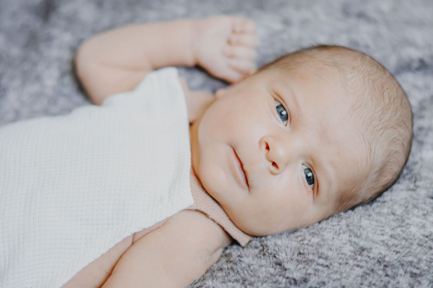 newborn at home photography winter park florida