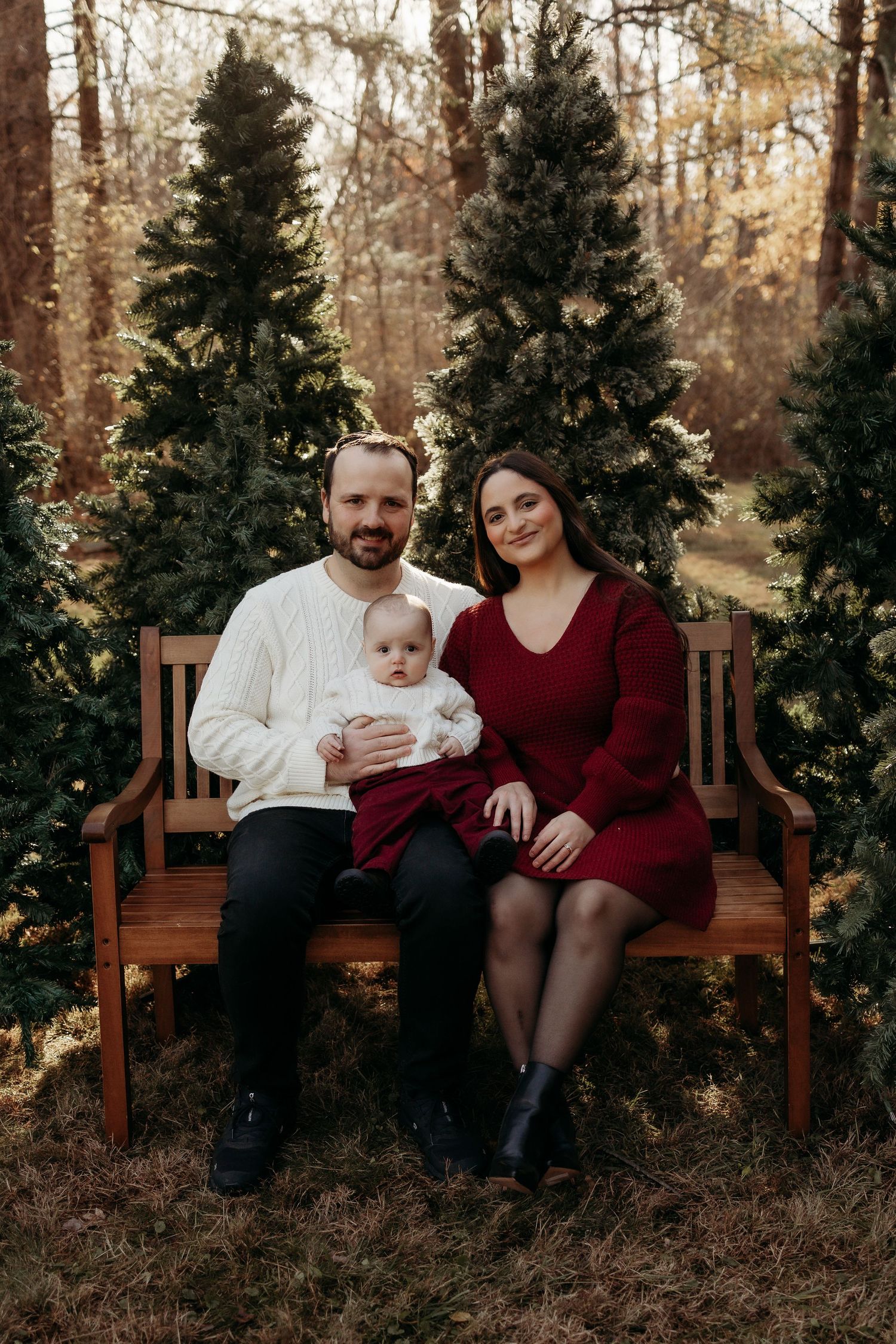 A young family poses on a wooden bench surrounded by evergreen trees, with parents holding their baby in a festive outdoor portrait.