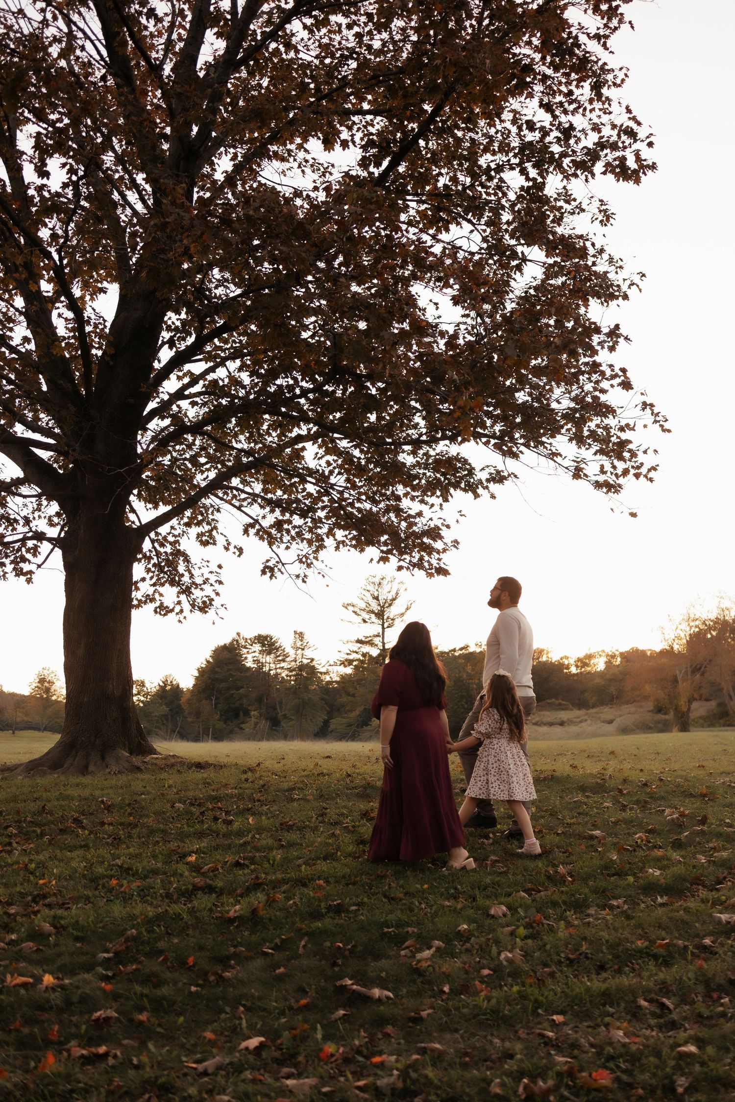 Family of three walking hand in hand across an autumn lawn beneath a large tree with golden fall leaves at sunset.