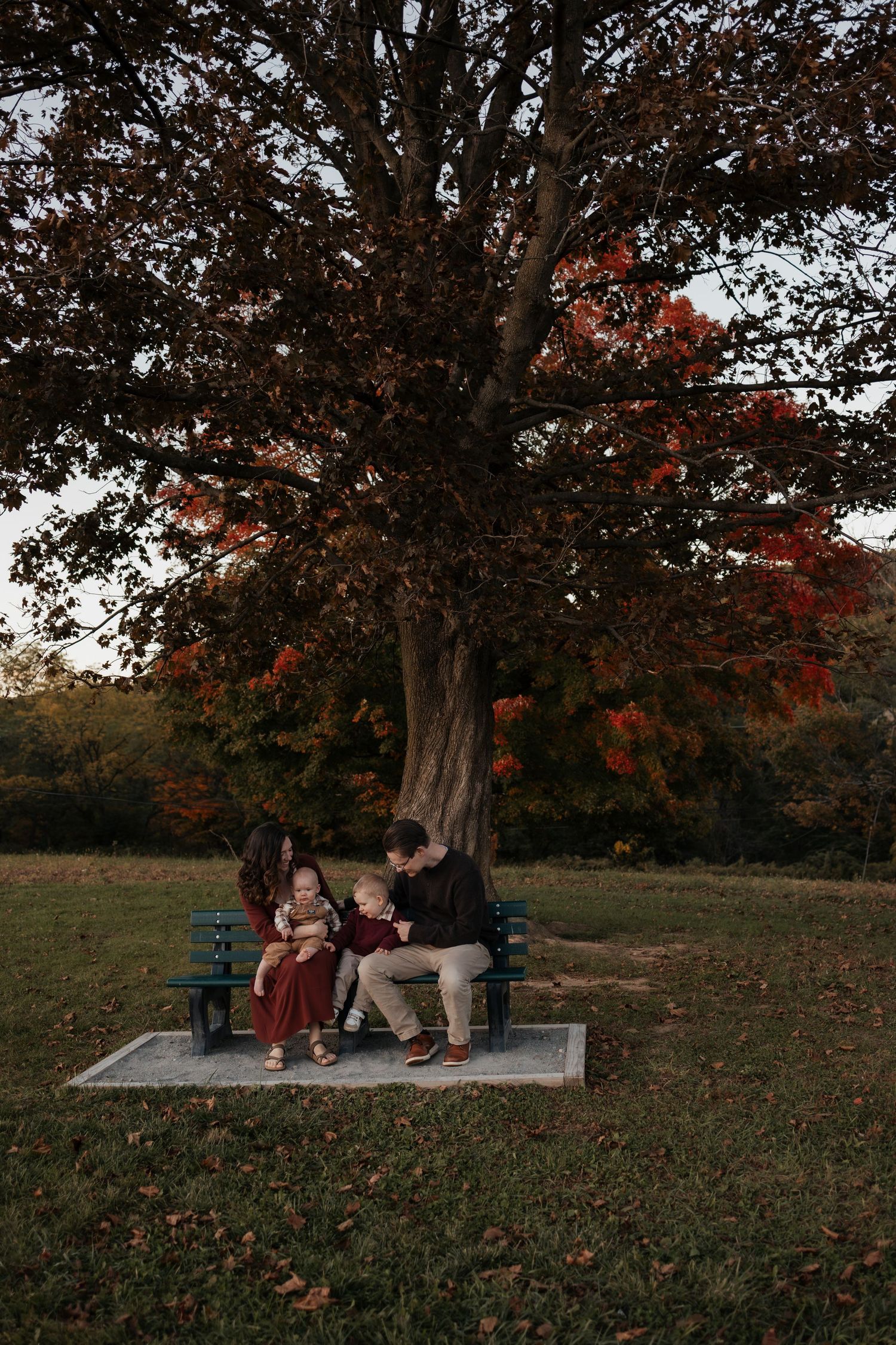 Family of four sits together on a park bench beneath a large autumn tree with red and orange leaves in a grassy field at dusk.