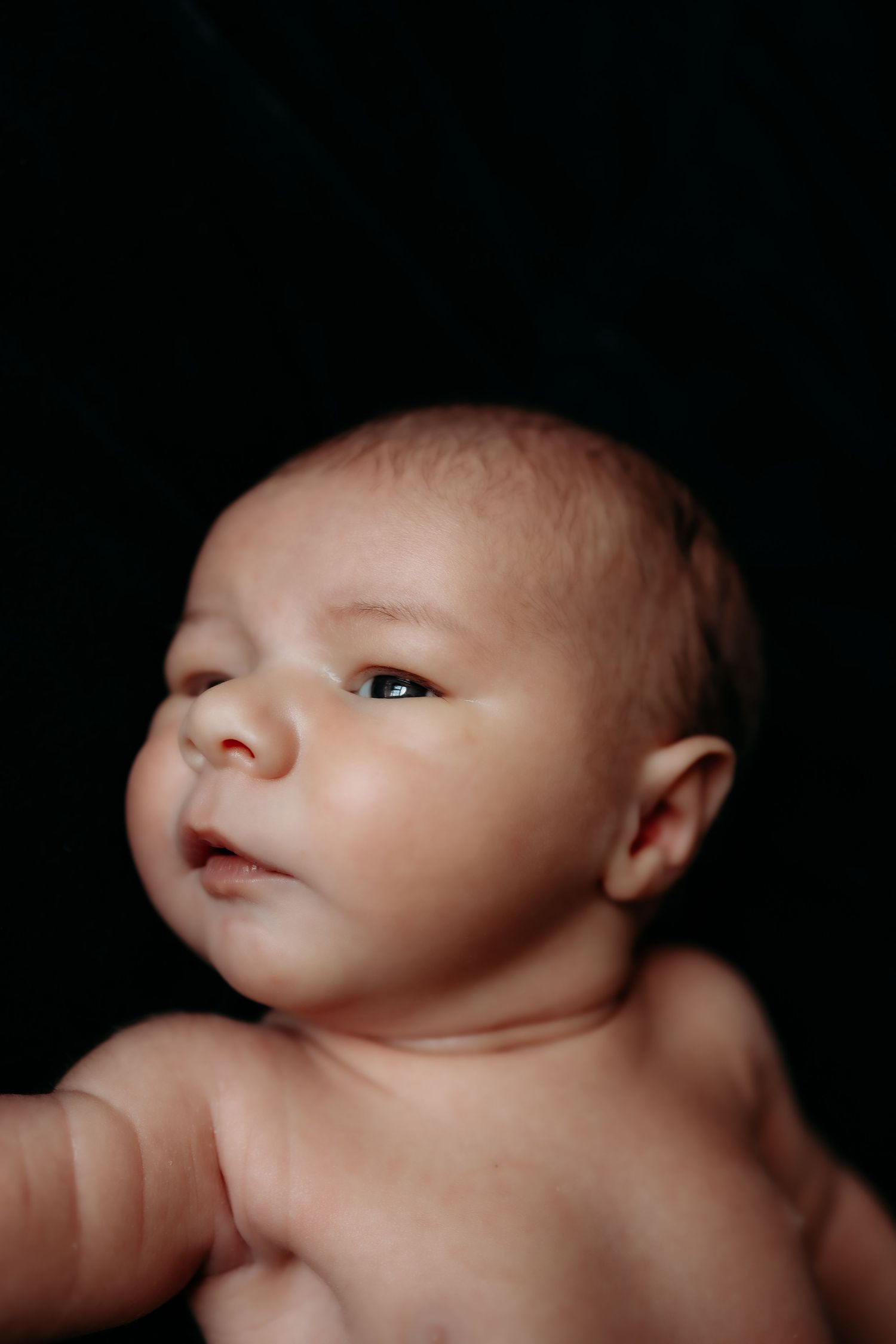 Close-up portrait of a newborn baby with alert eyes against a dark black background.