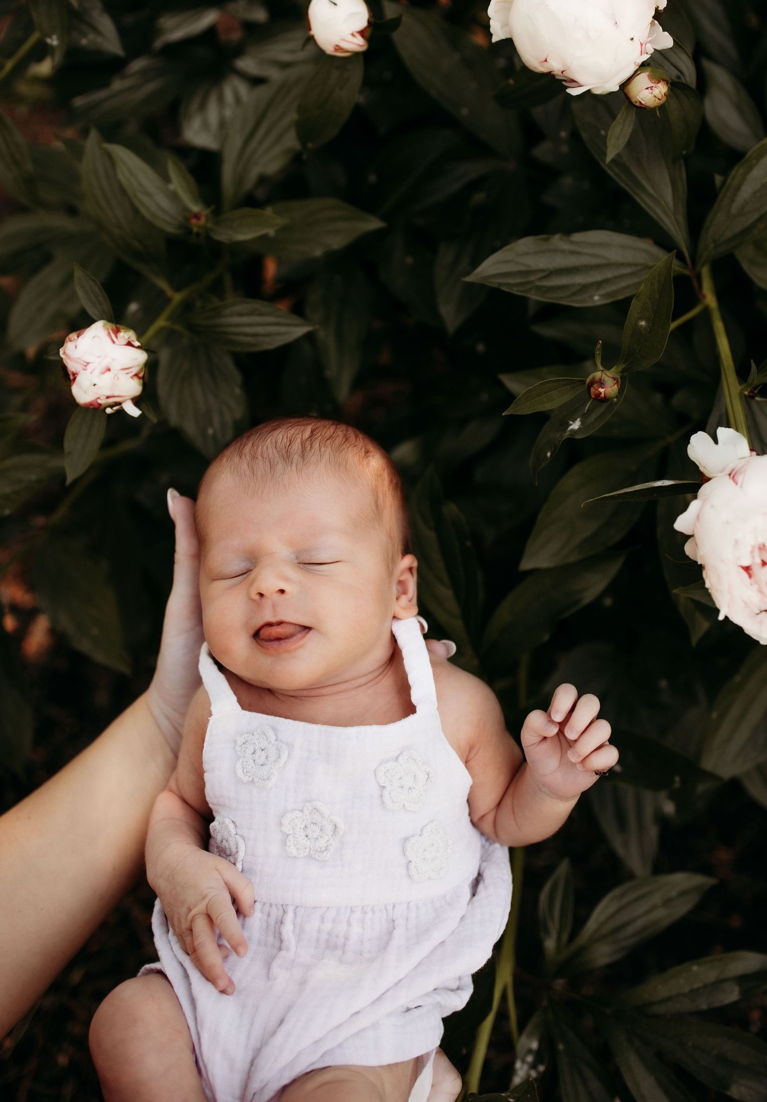 Newborn baby in white floral romper smiling while held near blooming peony flowers outdoors.