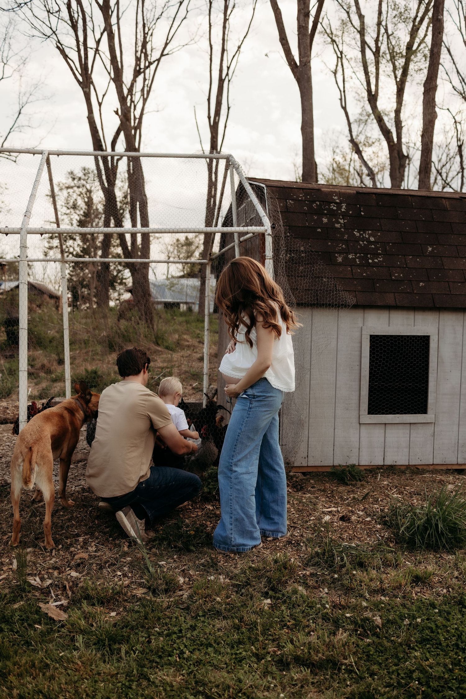 Family with baby and dogs exploring a rustic chicken coop on a farm at dusk.