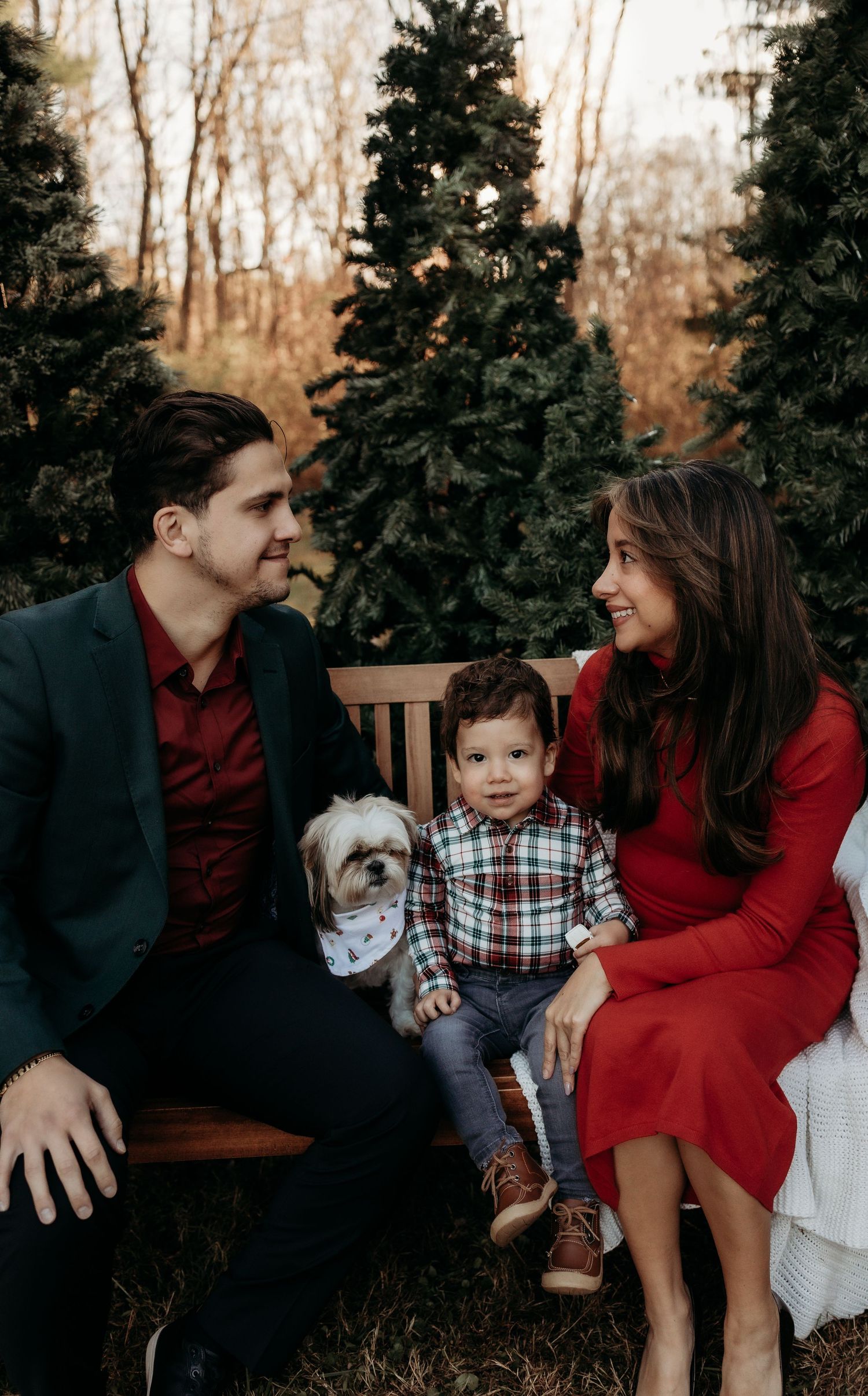 Family portrait with couple, toddler, and small dog on bench surrounded by evergreen trees in holiday outfits.