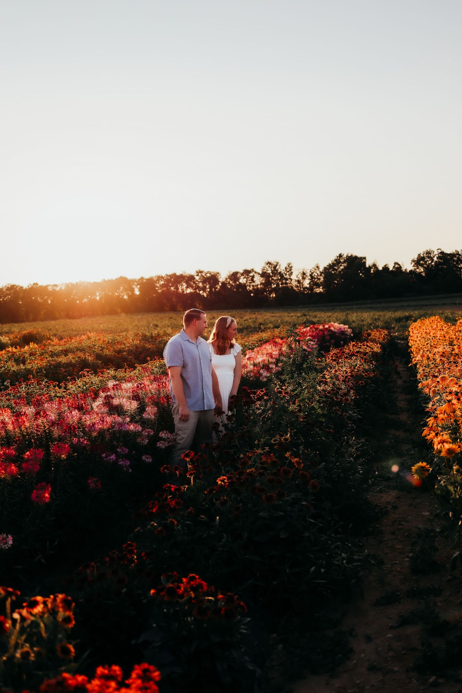 Andover, New Jersey maternity session, romantic couple walking through vibrant flower field at golden sunset with orange and pink blooms.