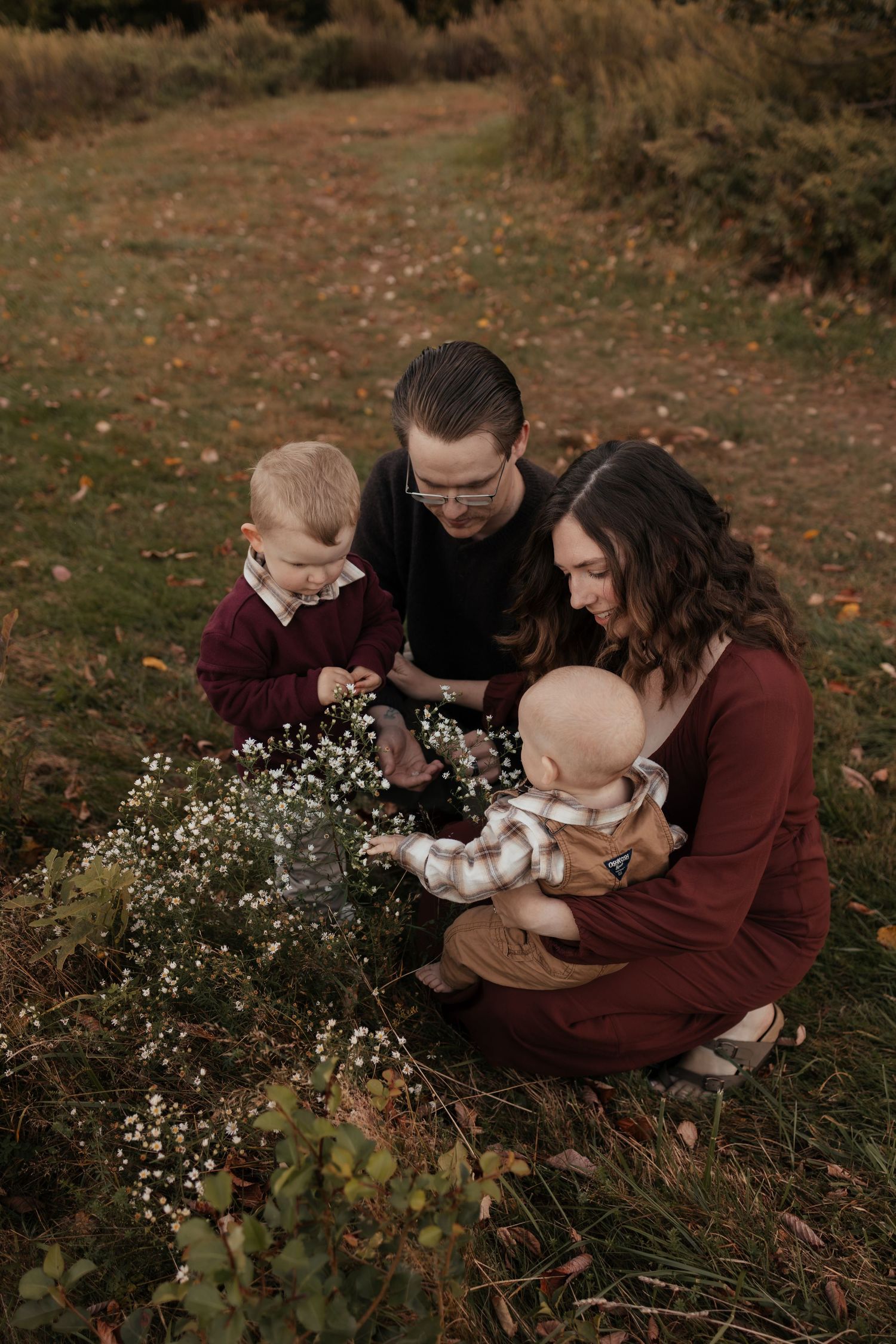 Family of four in burgundy and plaid outfits kneels together in an autumn field, admiring small white wildflowers during a outdoor photo ses