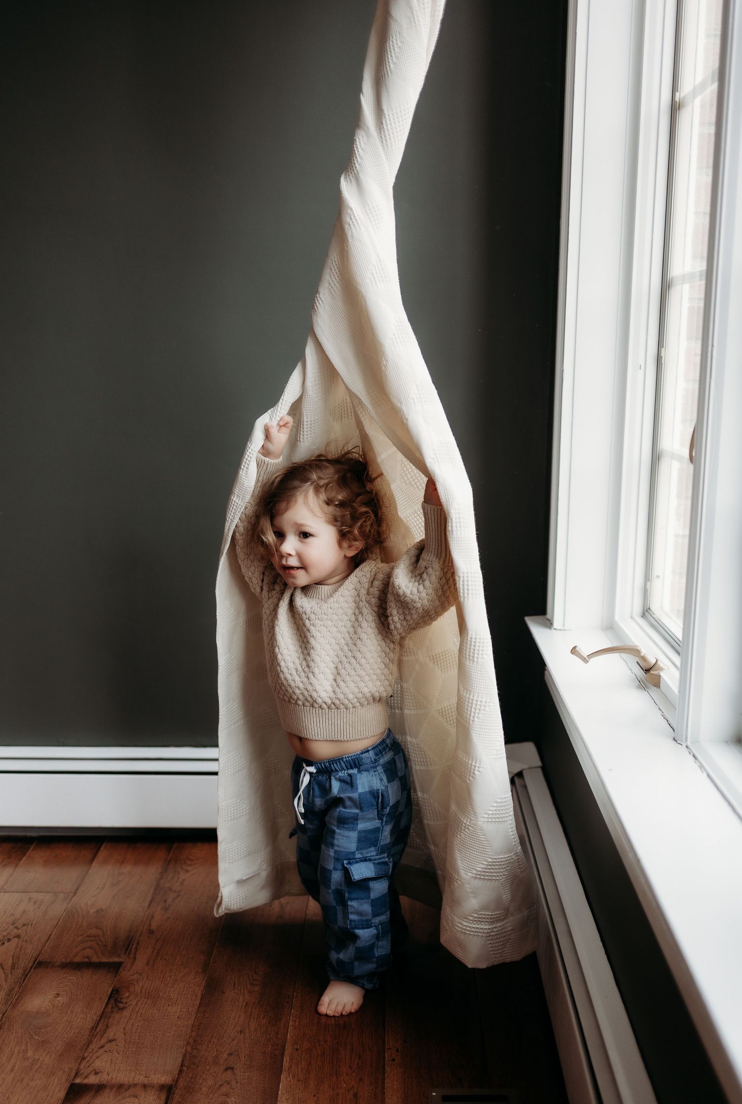 Toddler in beige sweater and blue pants playing with a white curtain near a window on hardwood floors.