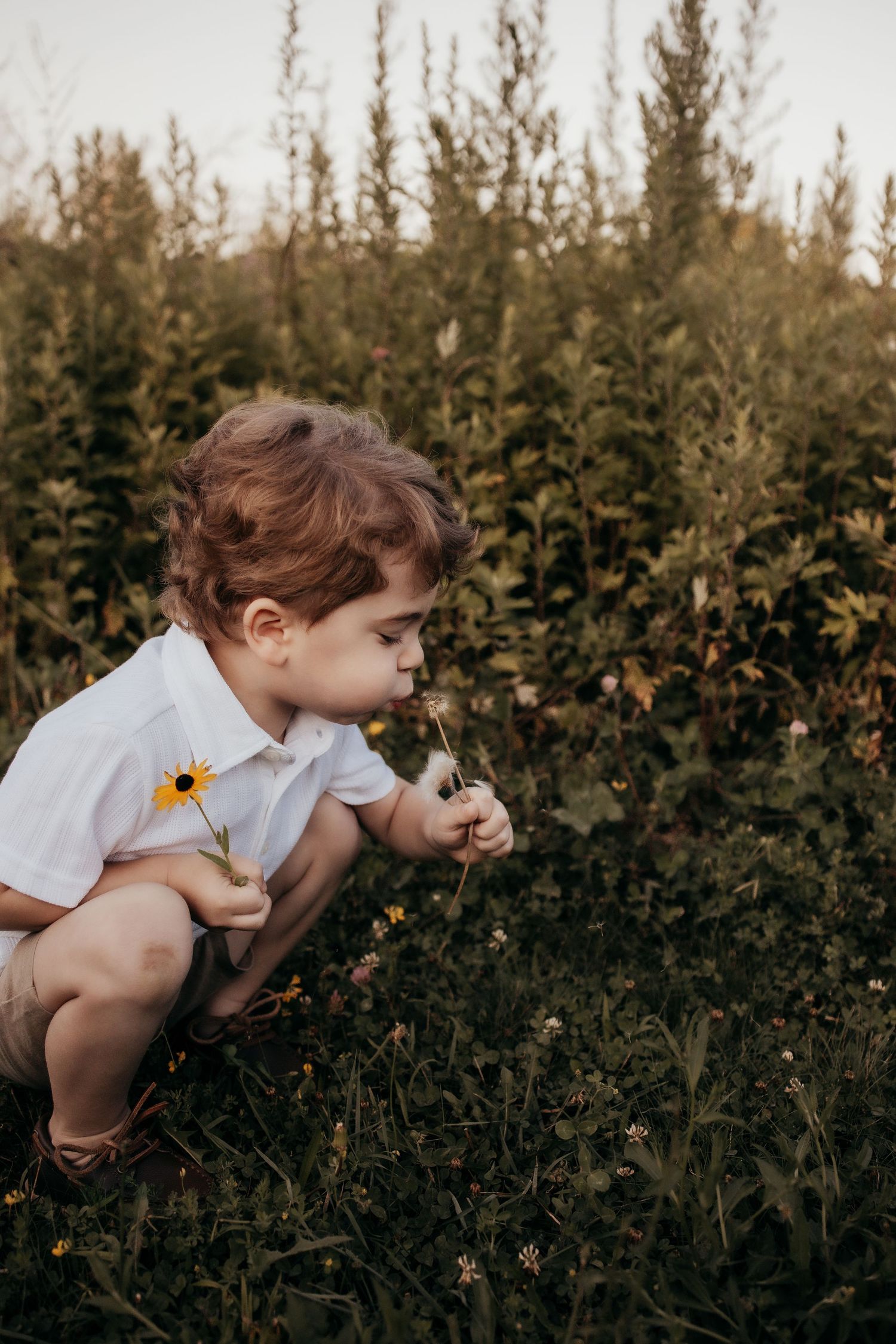 Young child crouching in a field, smelling a yellow wildflower surrounded by lush green plants at golden hour.