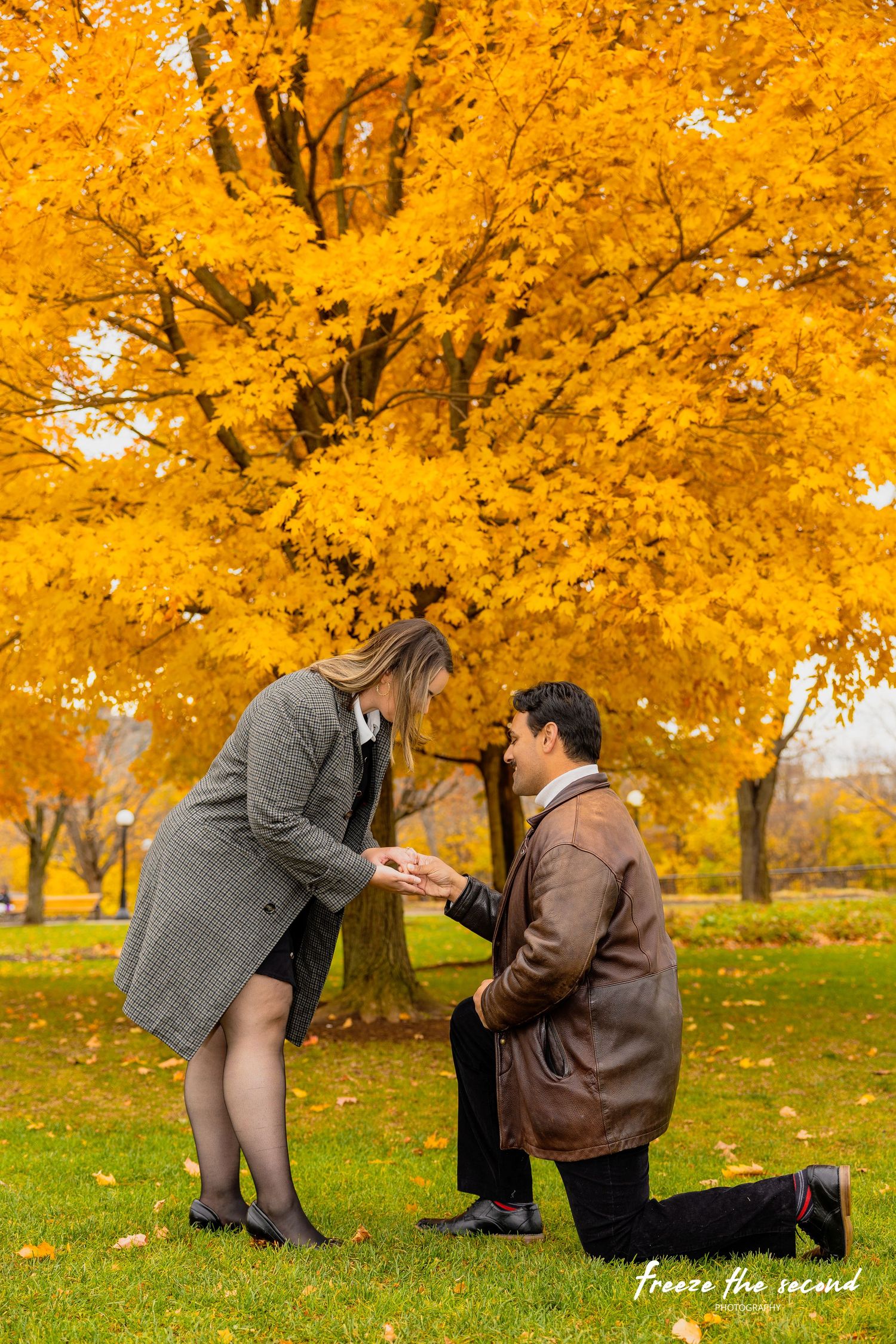 Man proposing on one knee to woman under vibrant golden autumn tree in a lush green park.
