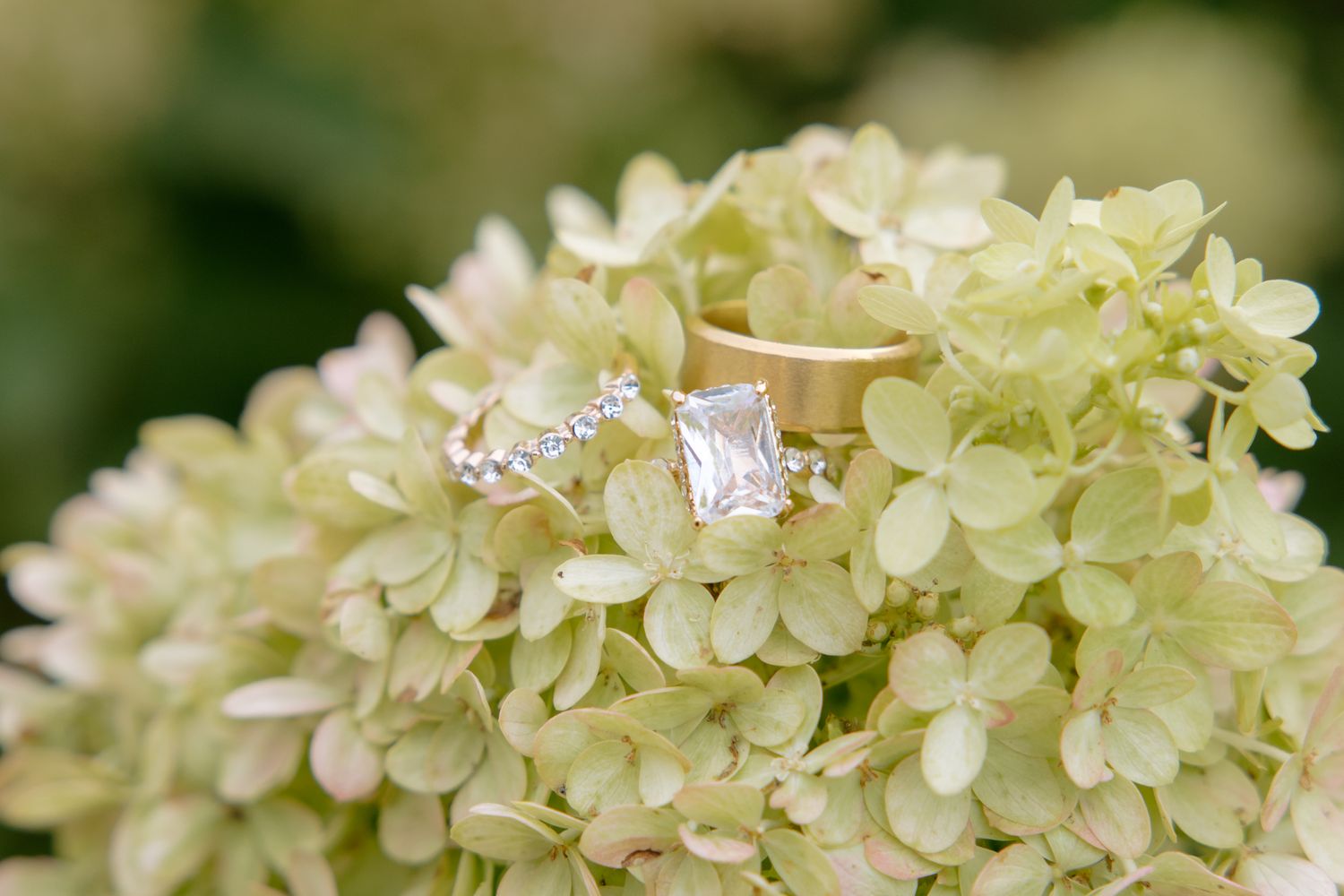 Close-up of a diamond engagement ring and gold wedding band resting on white hydrangea blooms at Heyward Manor.