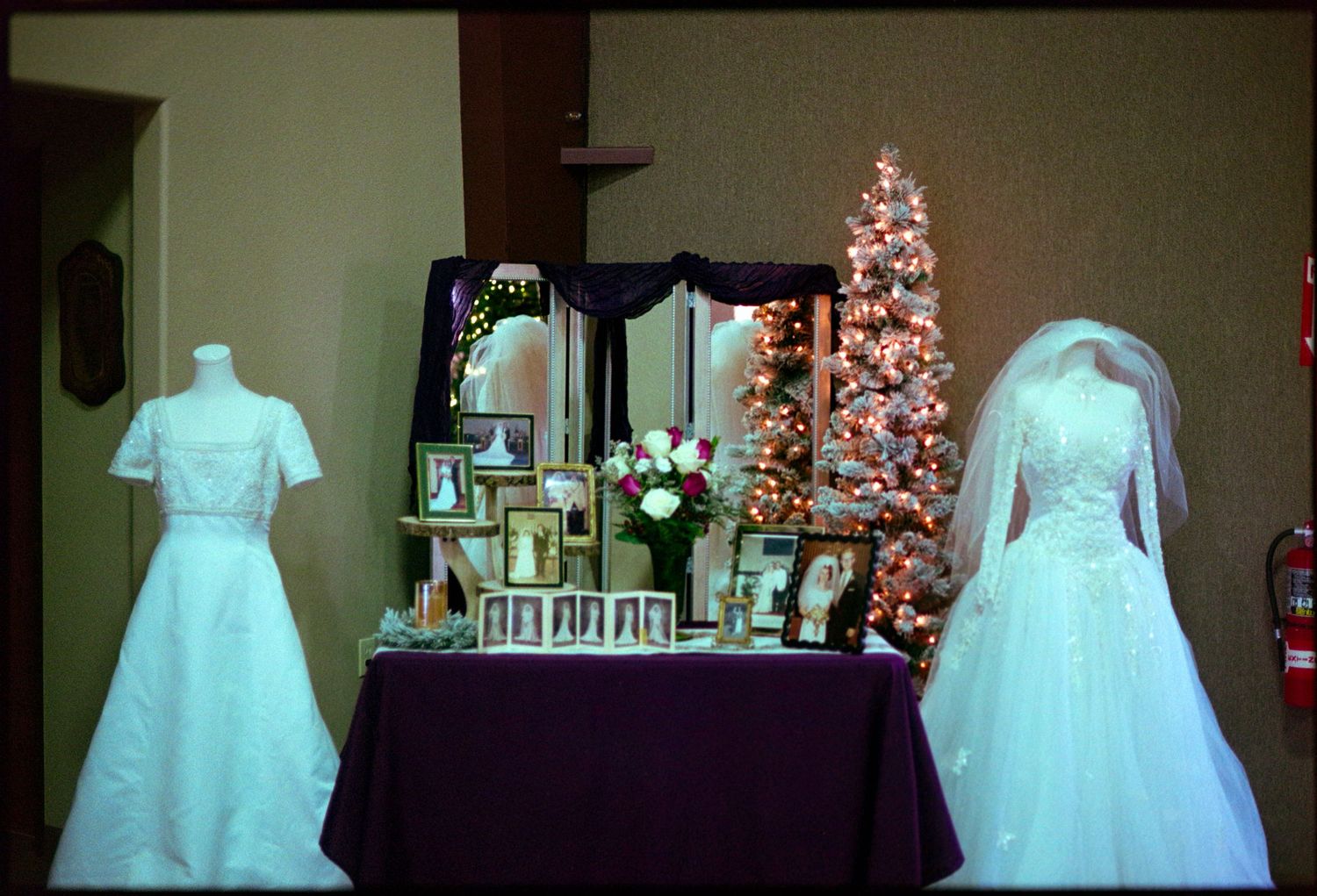 ©AnnaVonRiesenPhotography Wedding Photography | Film Color image of the MOB & MOG wedding dresses displayed.