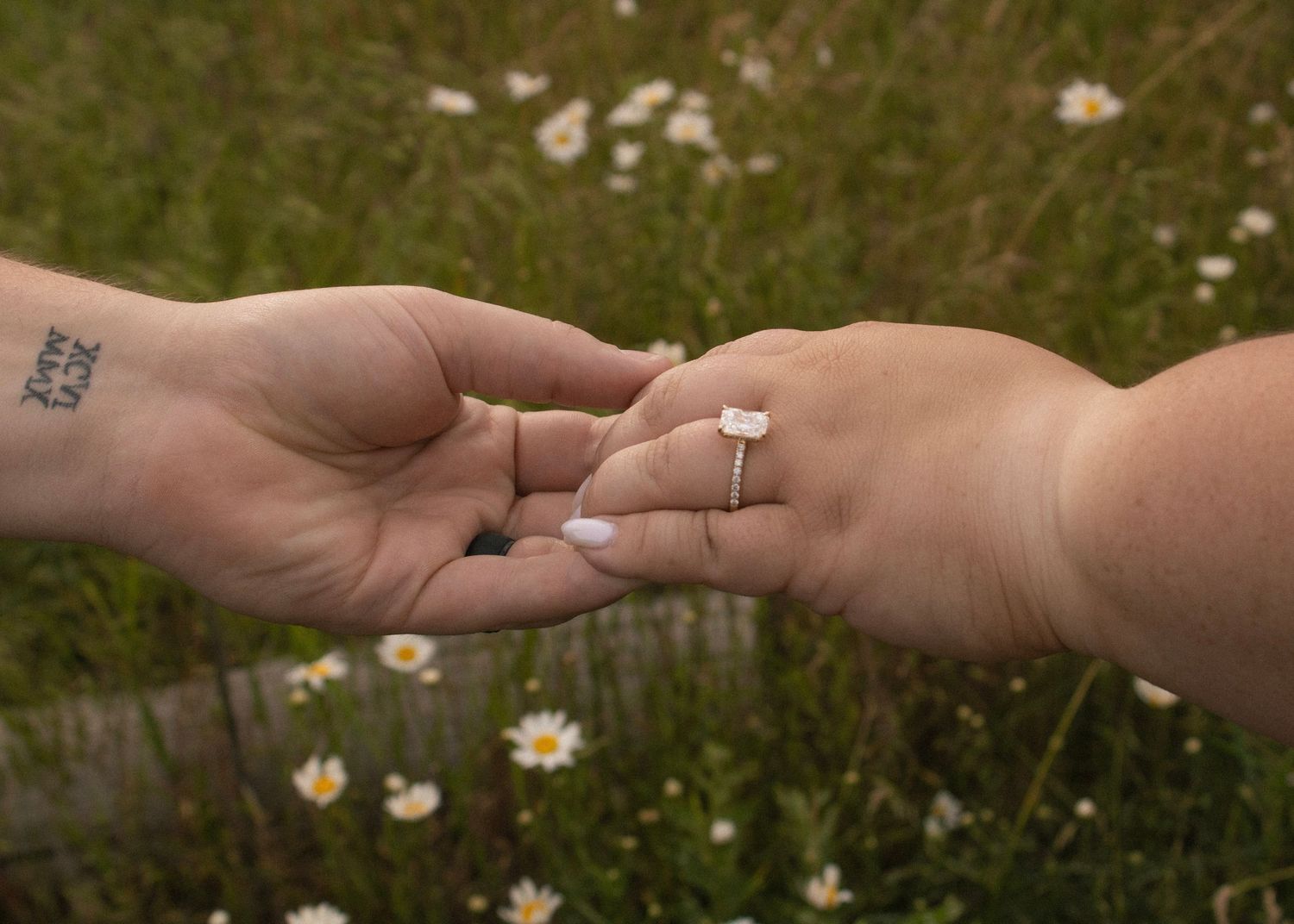 Engagement in daisy field