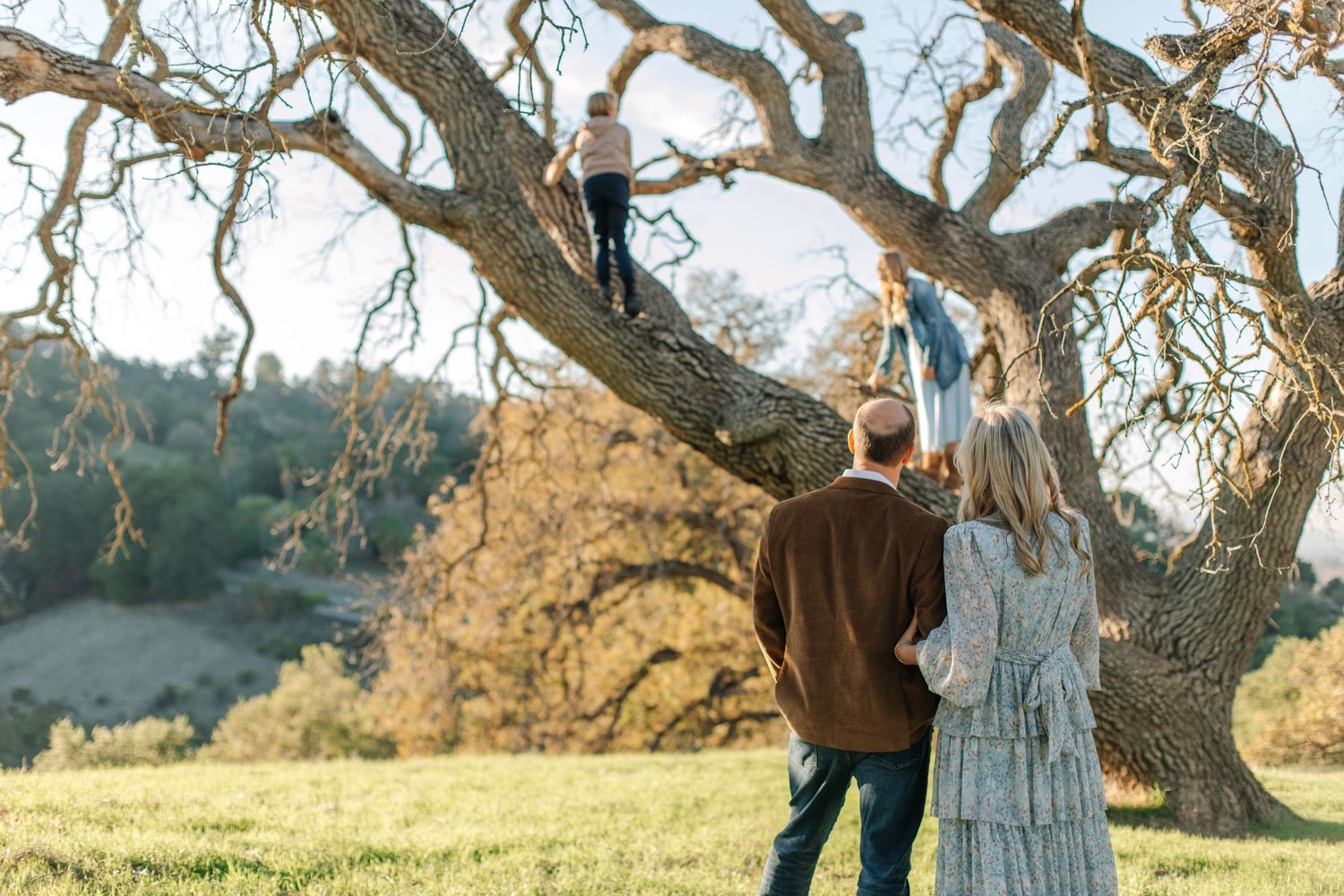 Two children climb a large oak tree while their parents watch from below in a sunny outdoor setting.