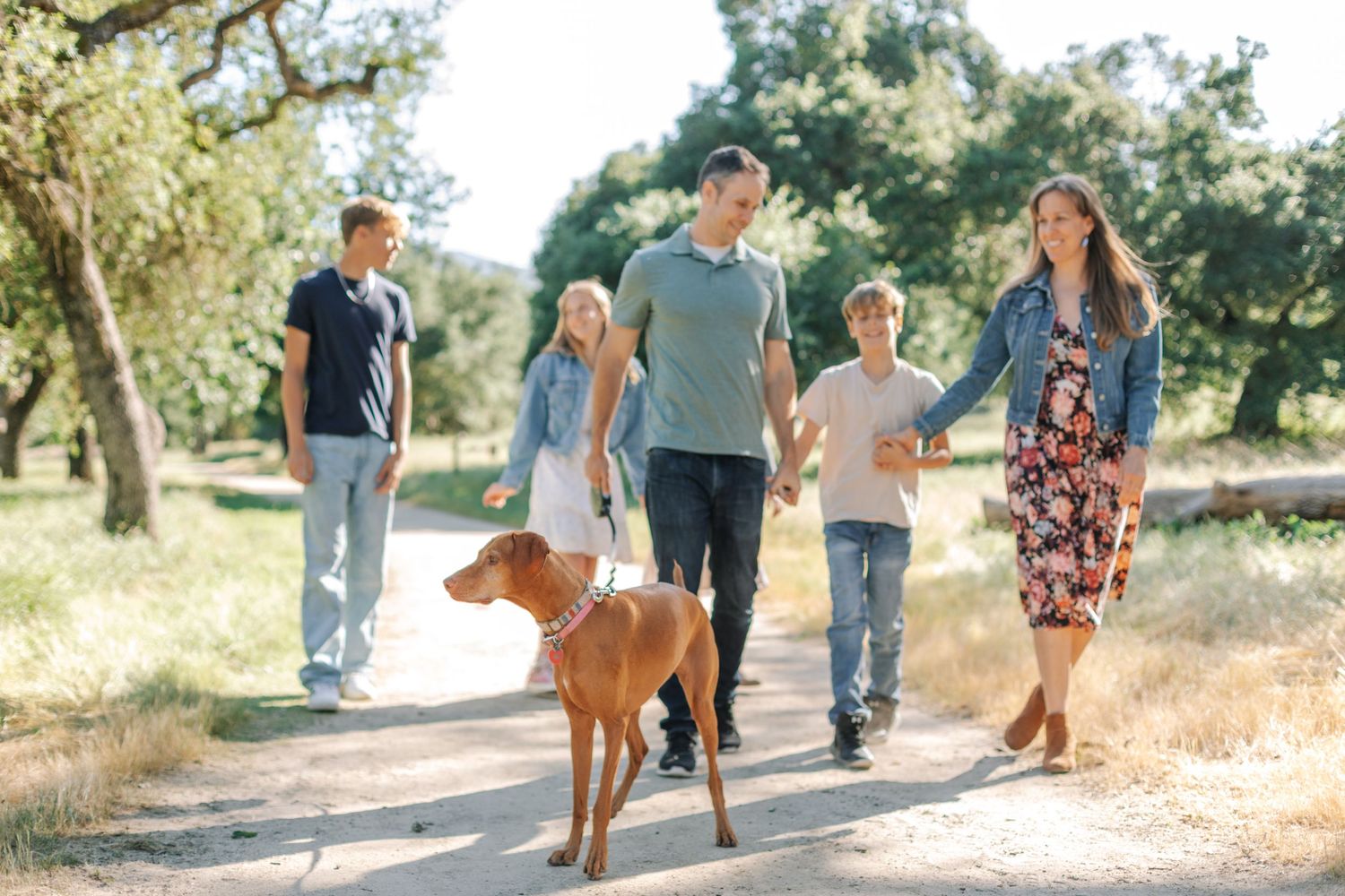 Active family walking their brown Vizsla dog along a sunny tree-lined path outdoors.