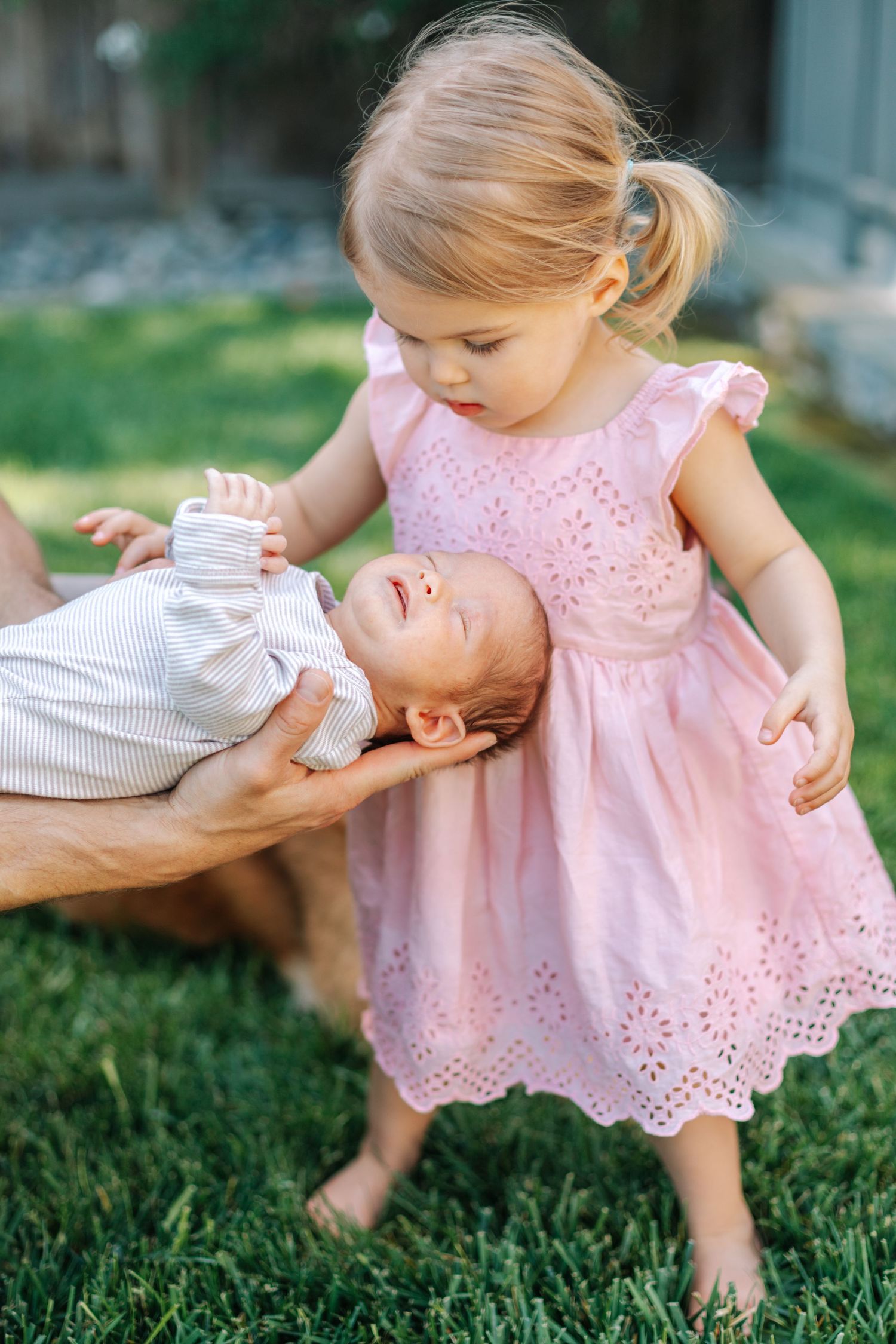 Curious toddler girl in pink dress leaning over to look at newborn baby held by adult hands.