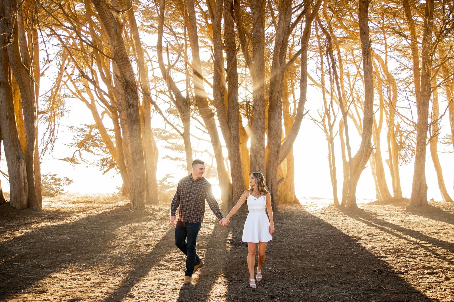 Couple walking hand in hand through sunlit forest with dramatic golden rays.
