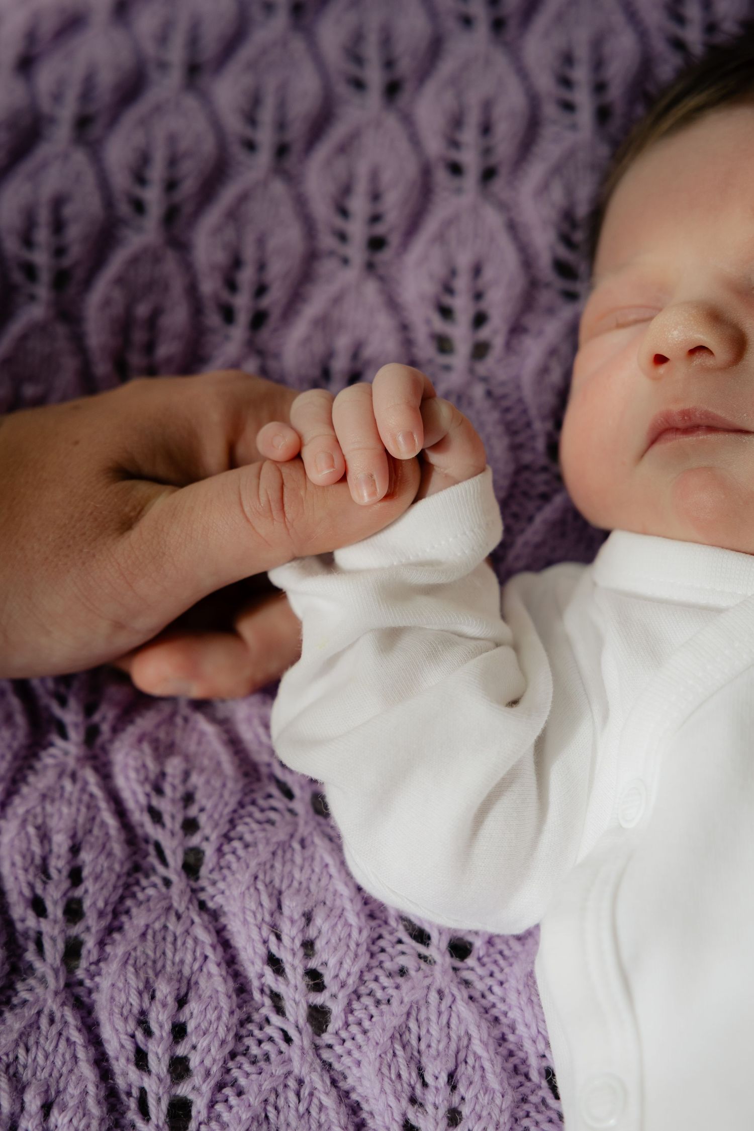 Newborn baby sleeping on purple knit blanket, tiny hand grasping adult finger in tender moment.