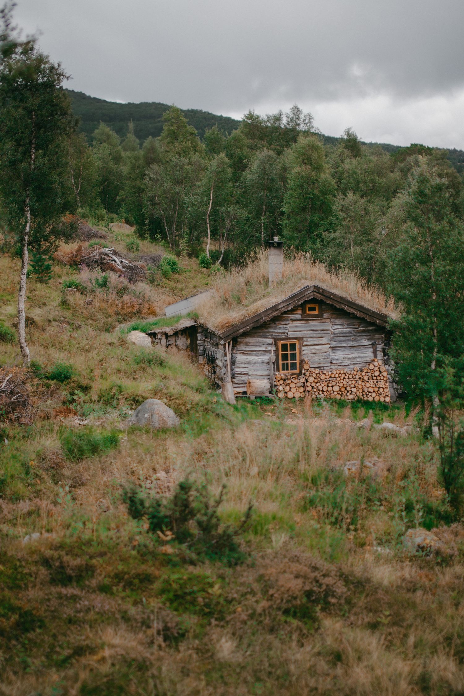 Rustic wooden cabin with sod roof and stacked firewood nestled in a lush Norwegian hillside forest landscape.