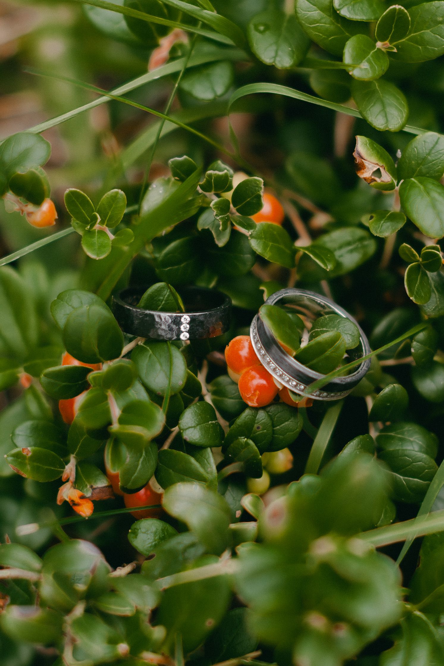 Two wedding rings resting among green leaves and orange berries in a natural outdoor setting.