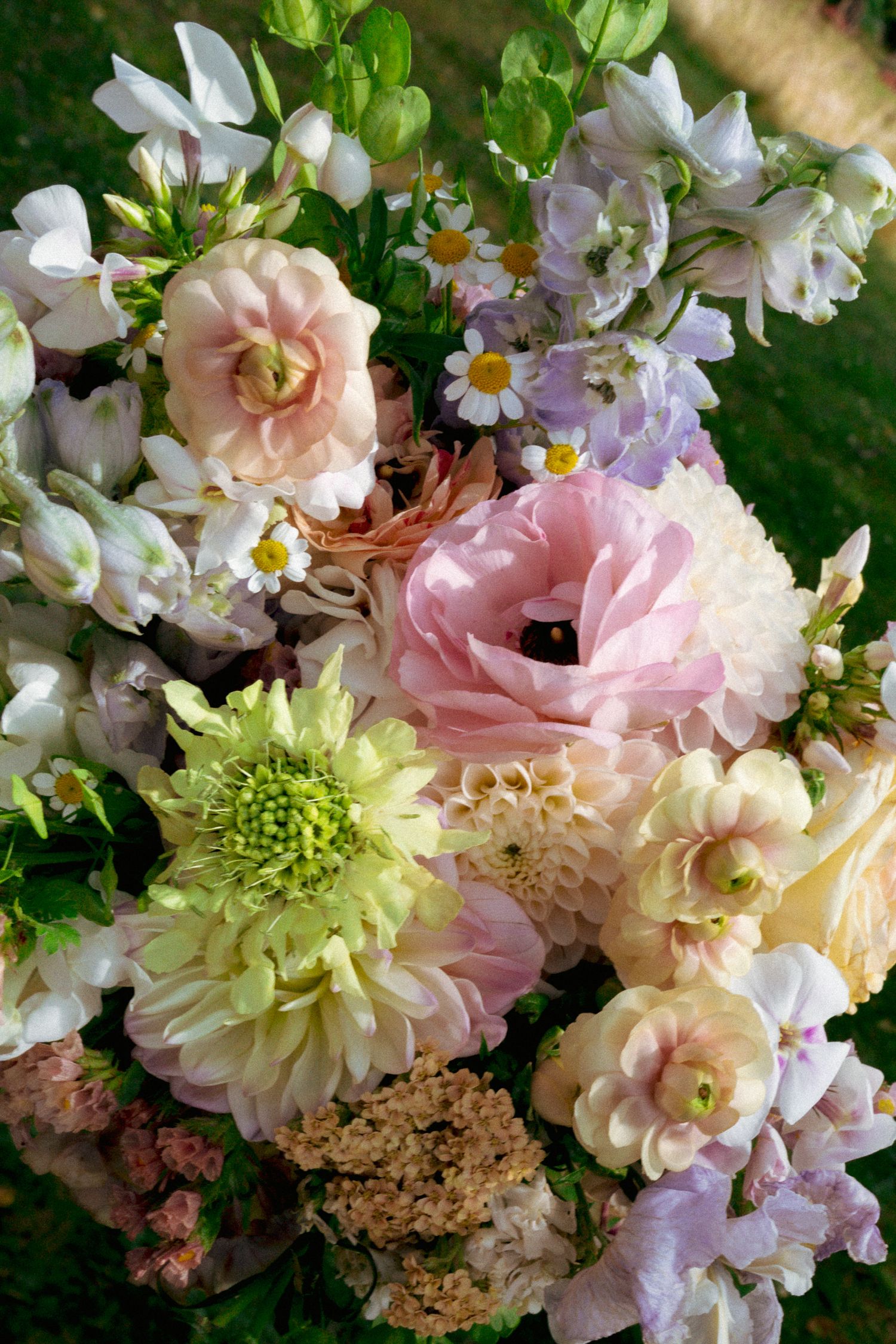 Beautiful wedding bouquet featuring pink ranunculus, white daisies, green dahlias, and soft pastel blooms.